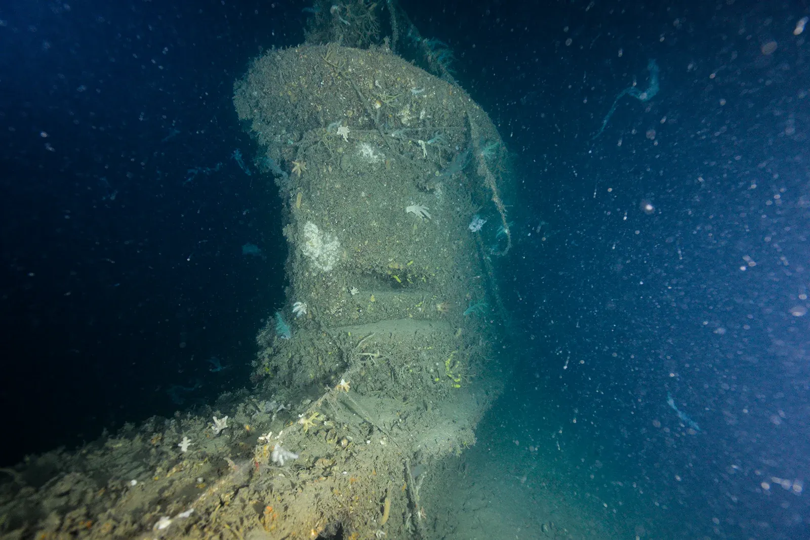 Diving Gelibolu