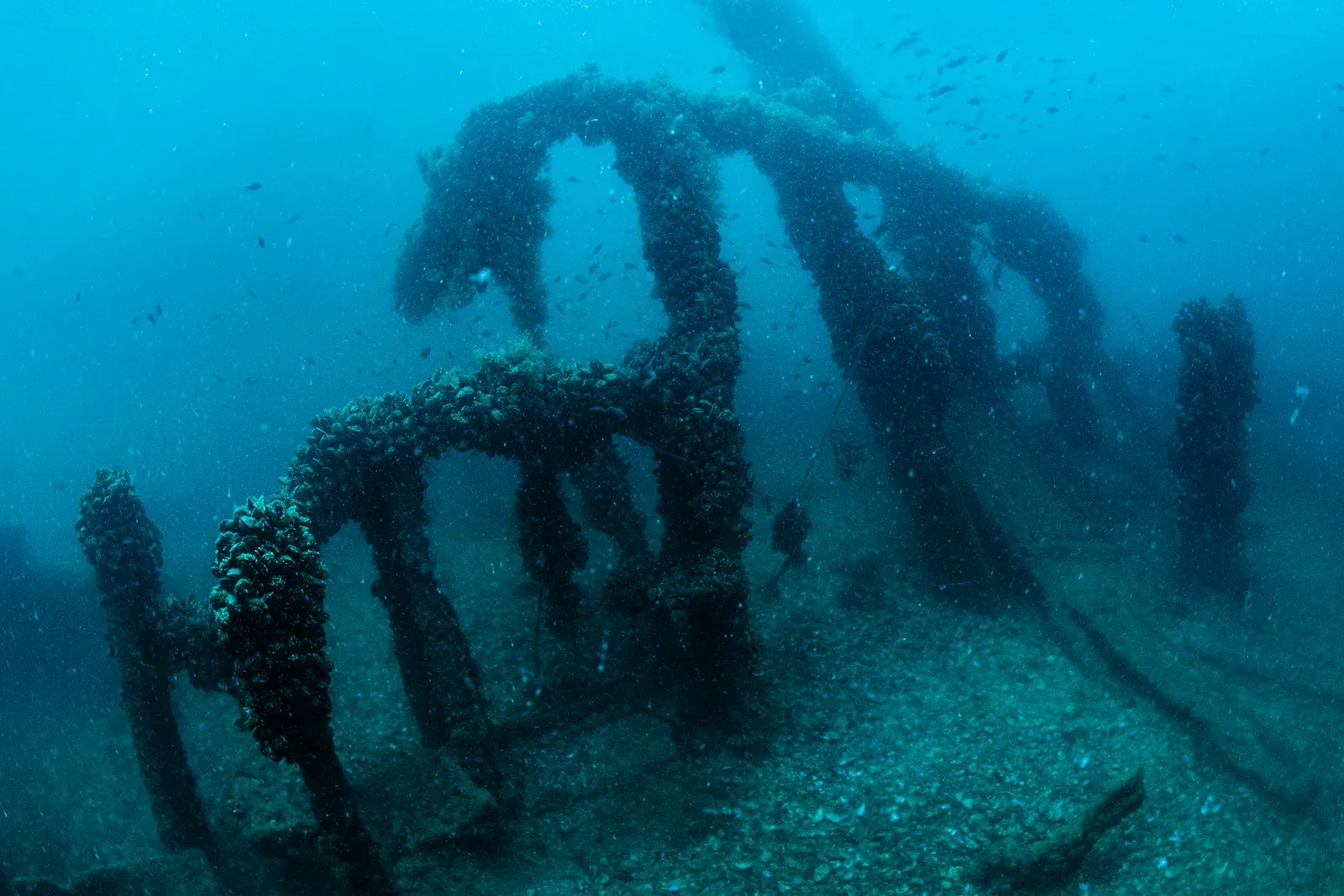 Diving Gelibolu