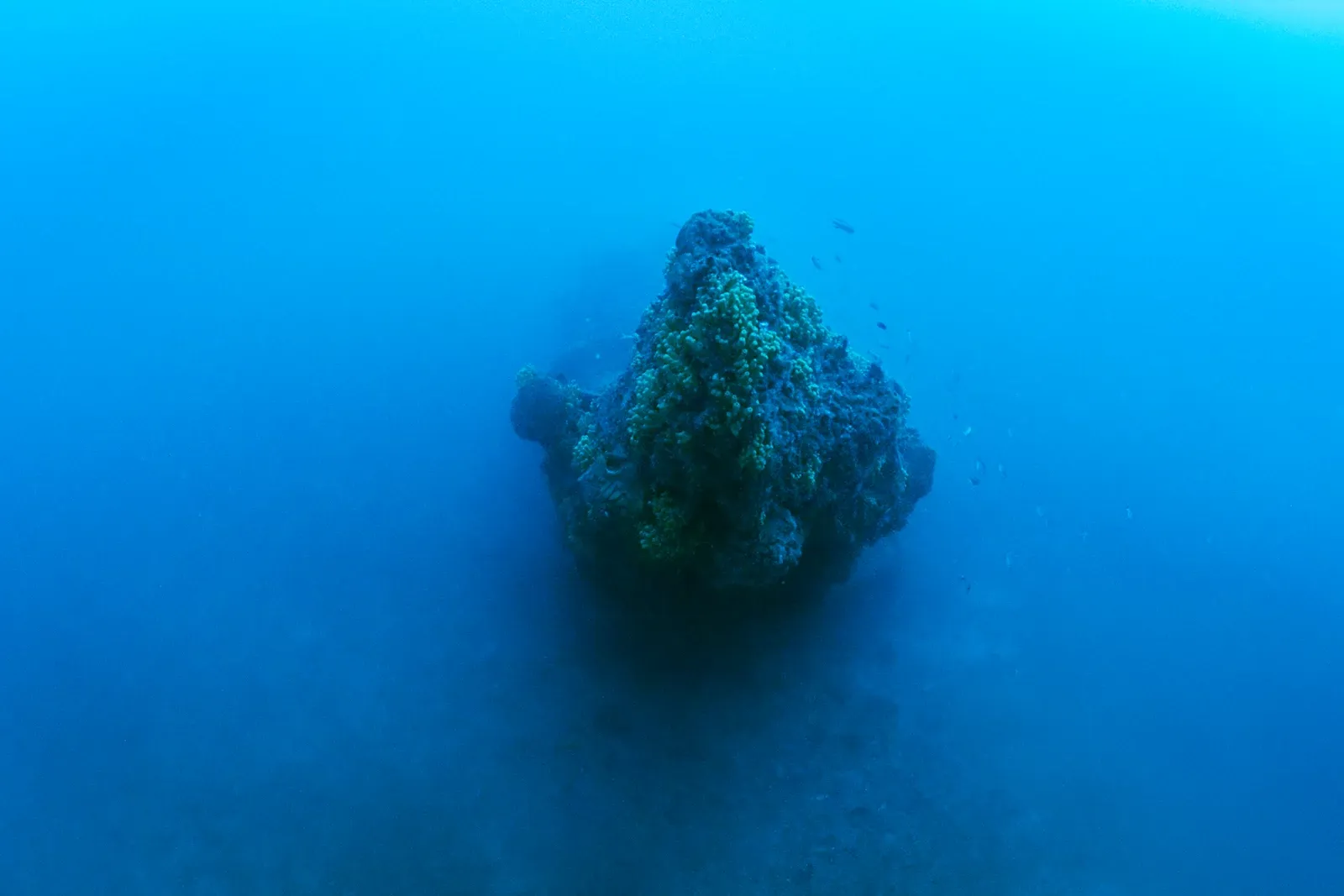 Diving Gelibolu
