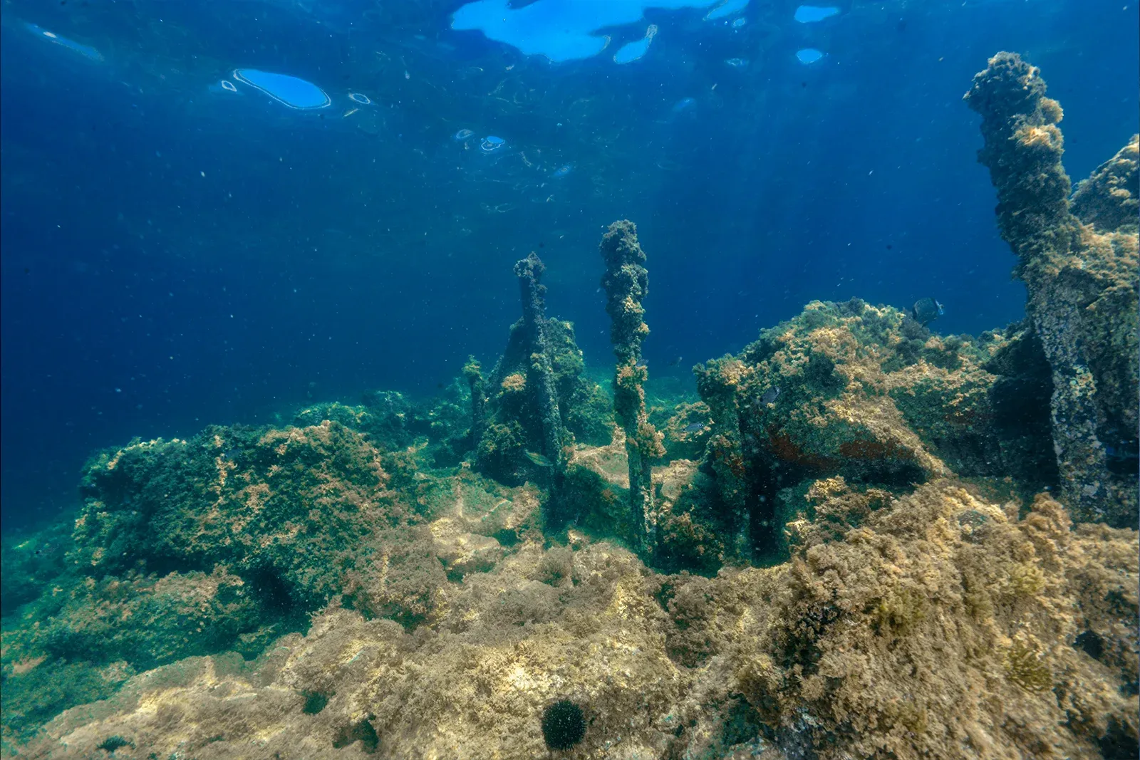 Diving Gelibolu