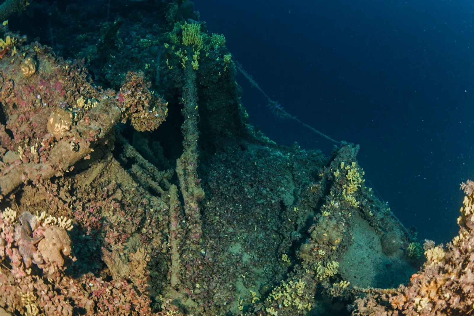 Diving Gelibolu