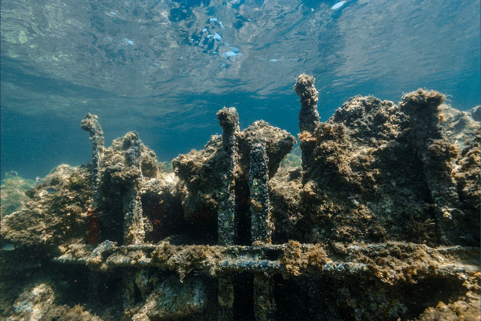 Diving Gelibolu