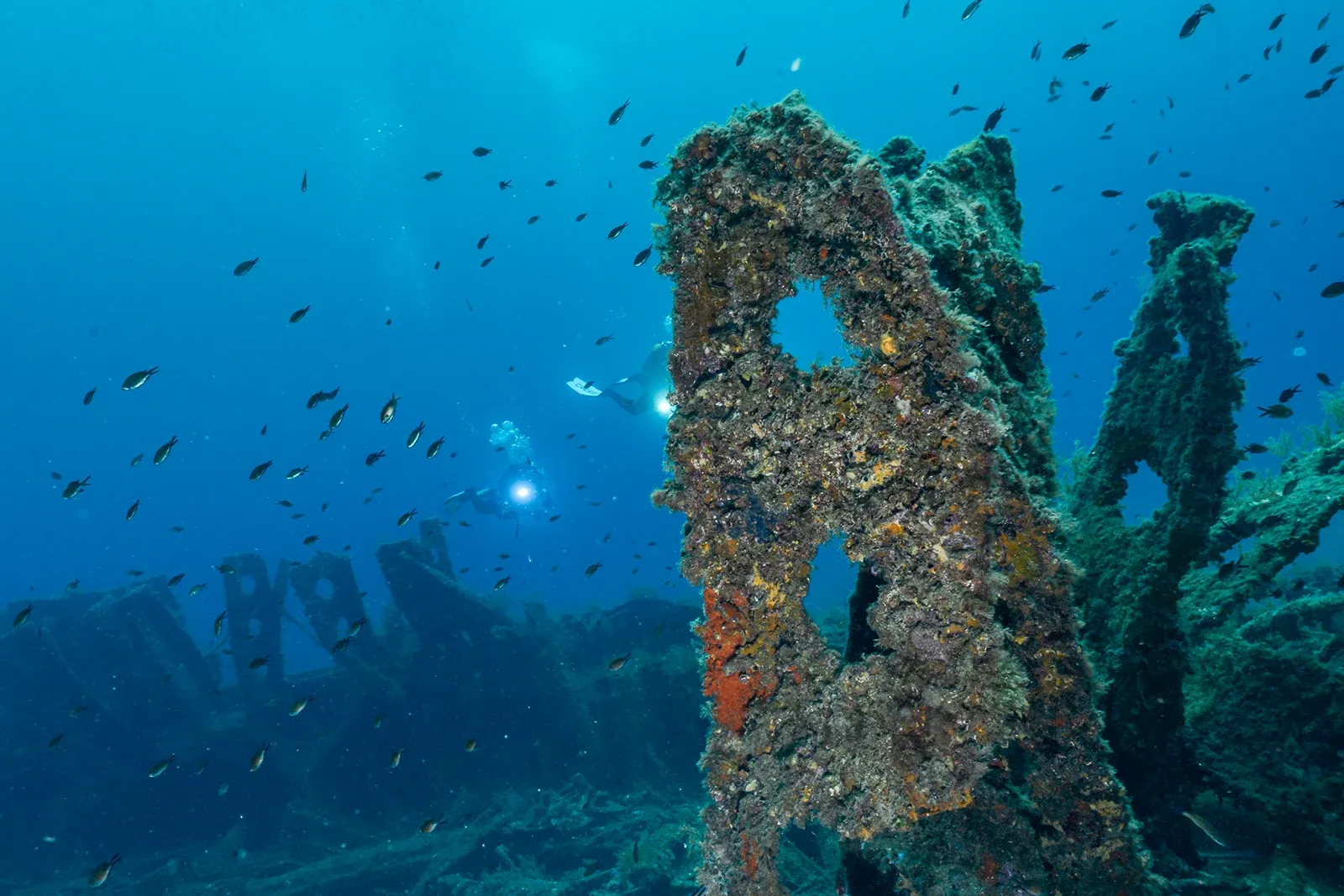 Diving Gelibolu