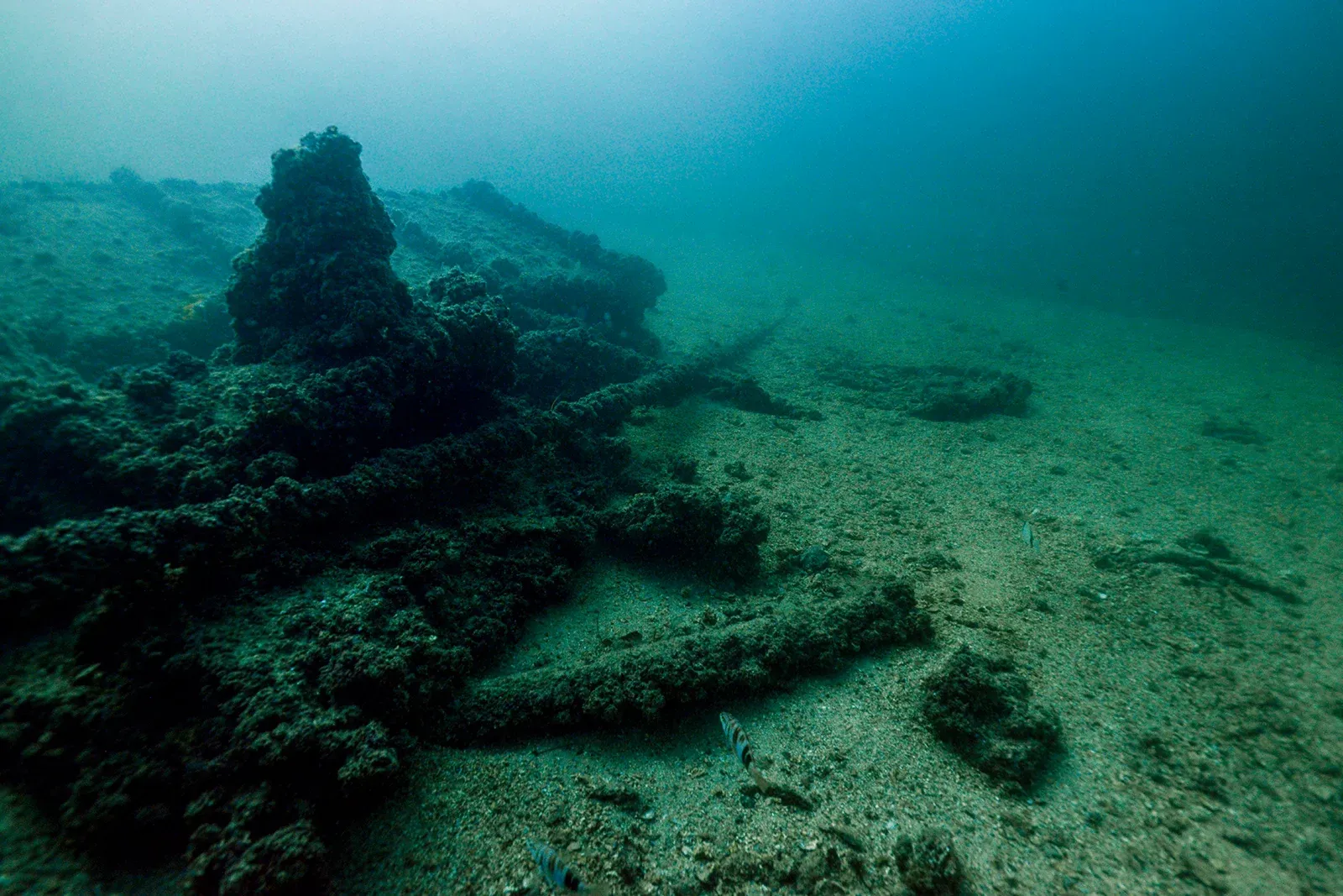 Diving Gelibolu