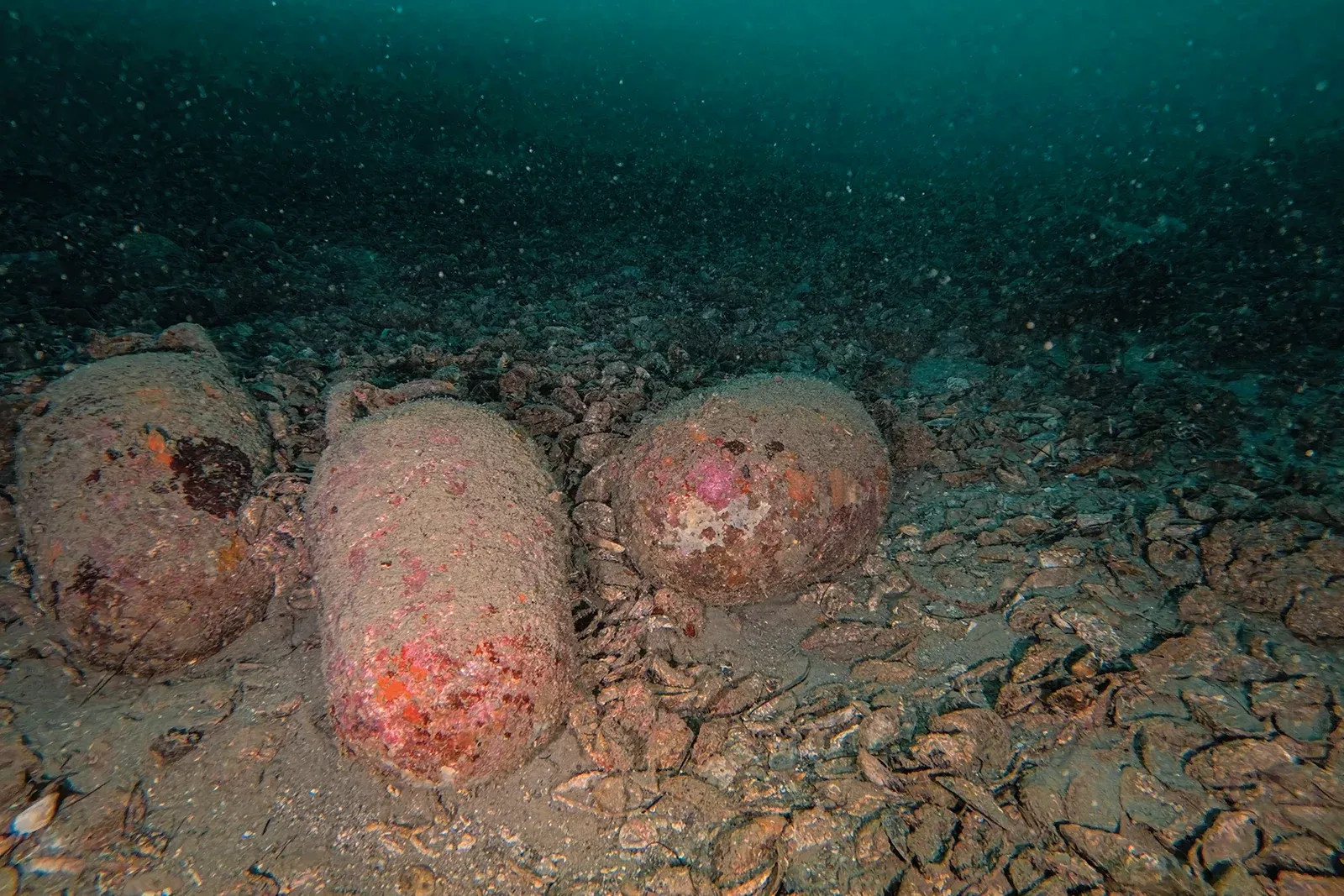 Diving Gelibolu