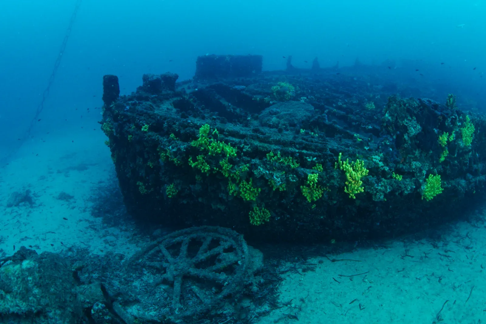 Diving Gelibolu