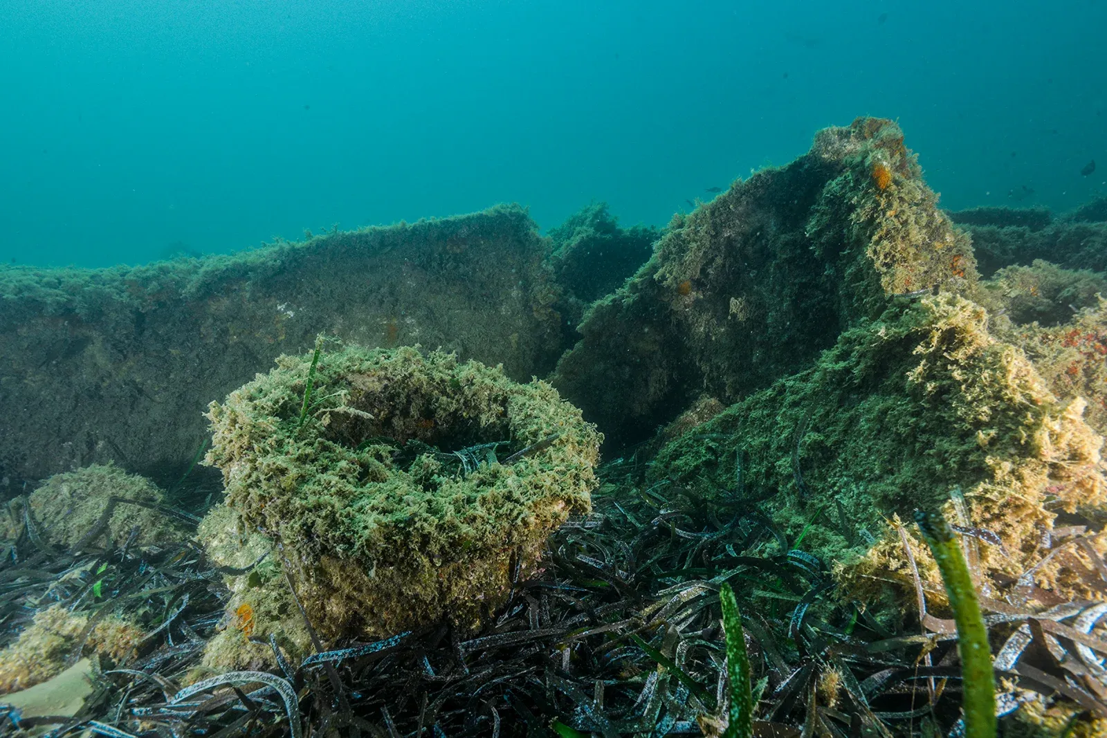 Diving Gelibolu