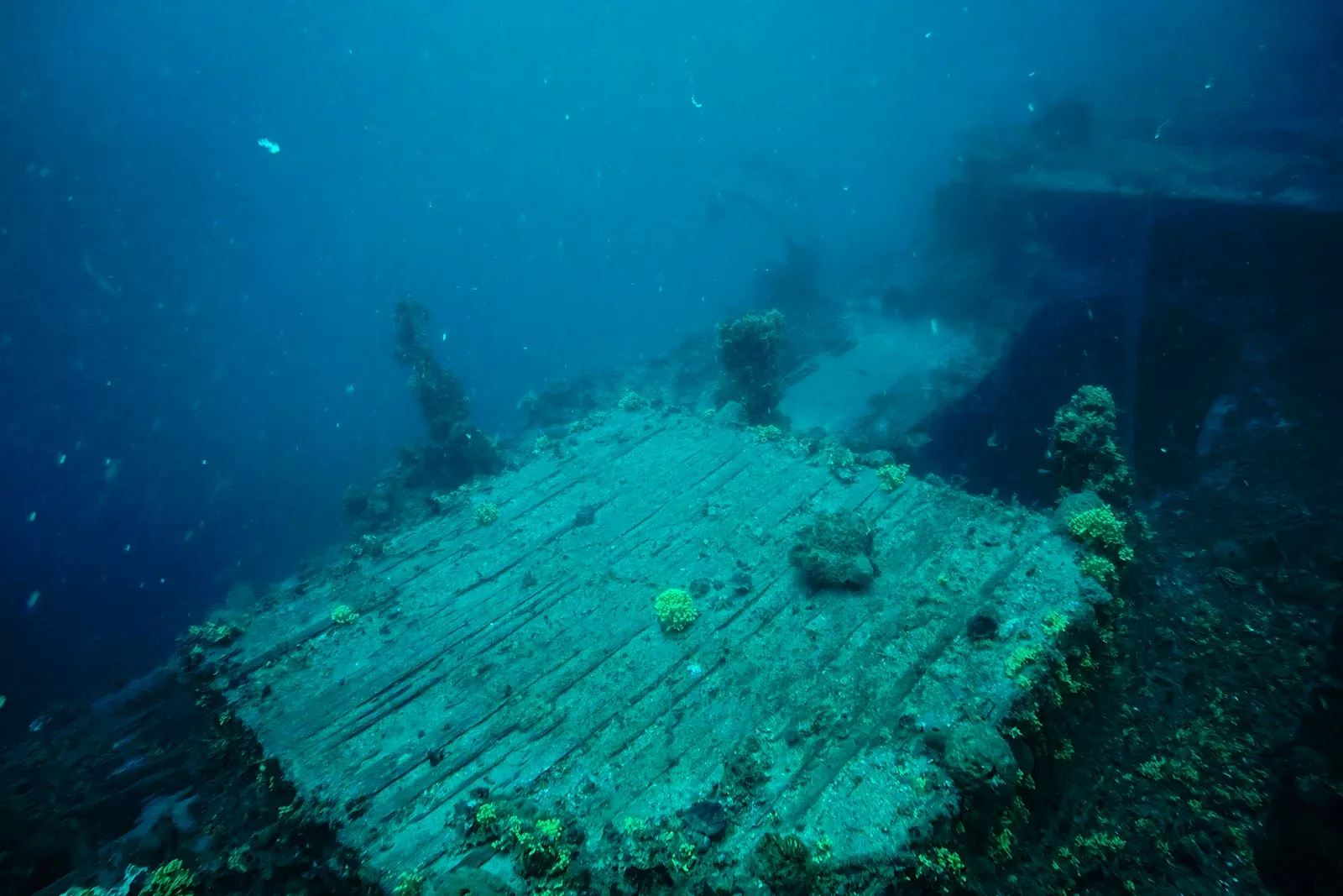 Diving Gelibolu