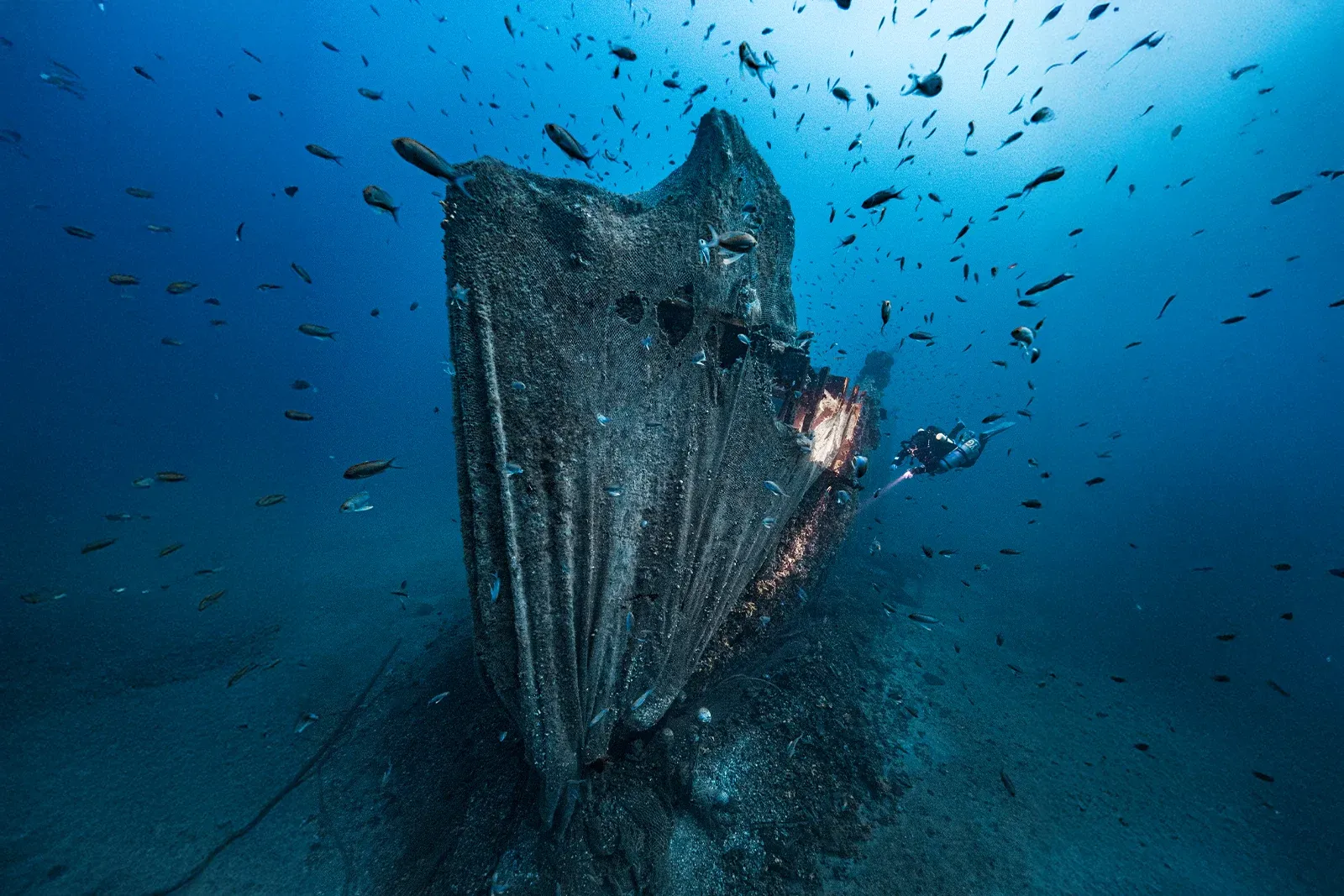 Diving Gelibolu