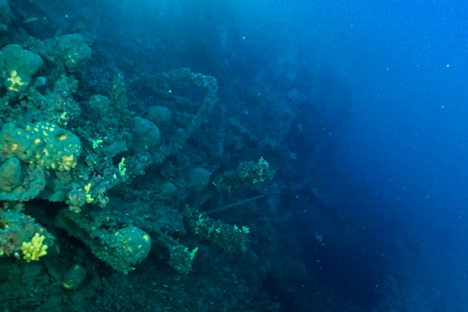 Diving Gelibolu