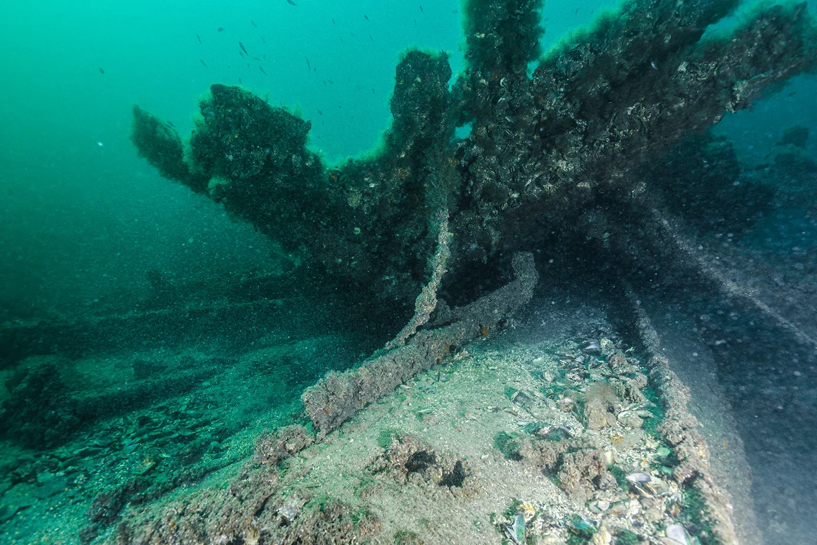 Diving Gelibolu
