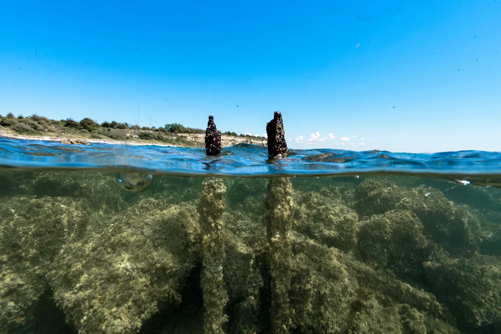 Diving Gelibolu