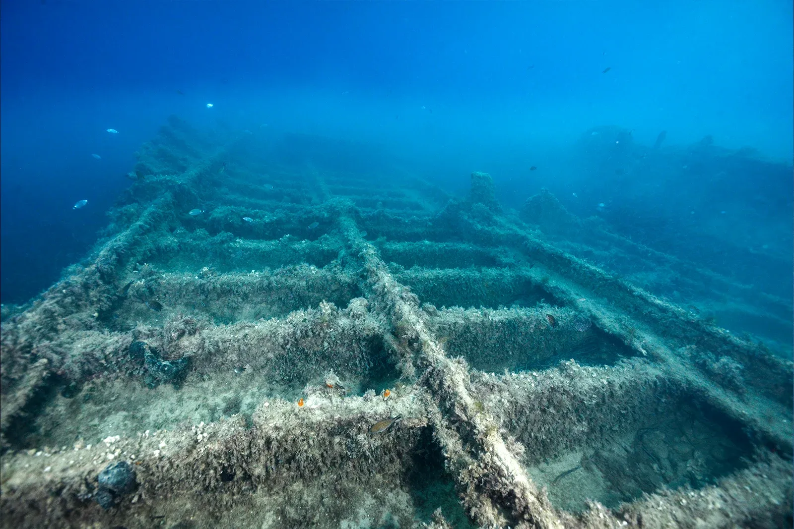 Diving Gelibolu