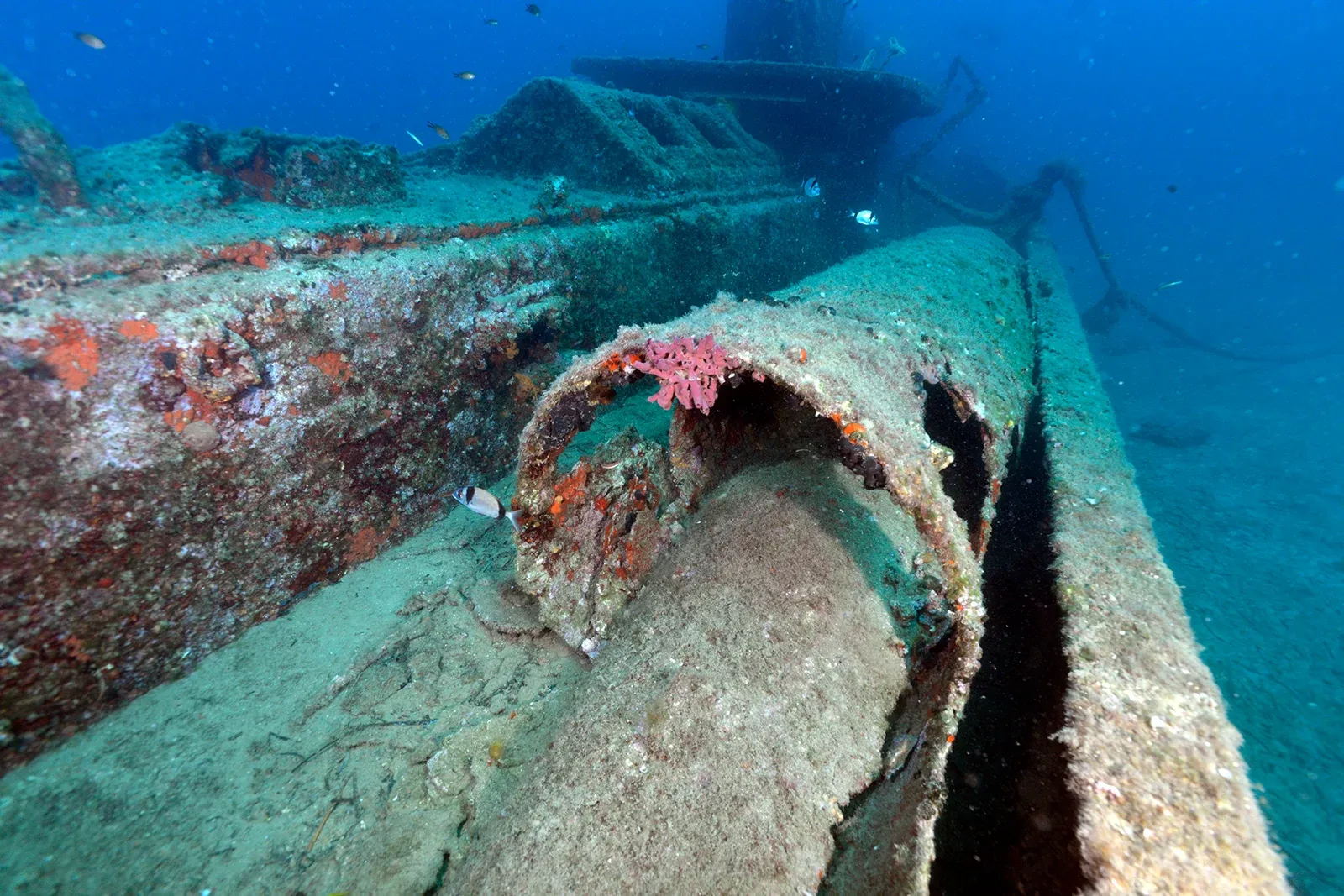 Diving Gelibolu