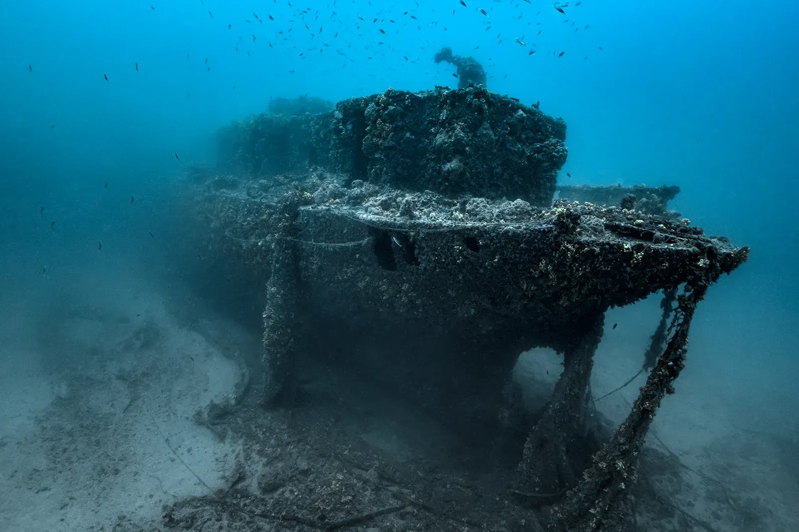 Diving Gelibolu