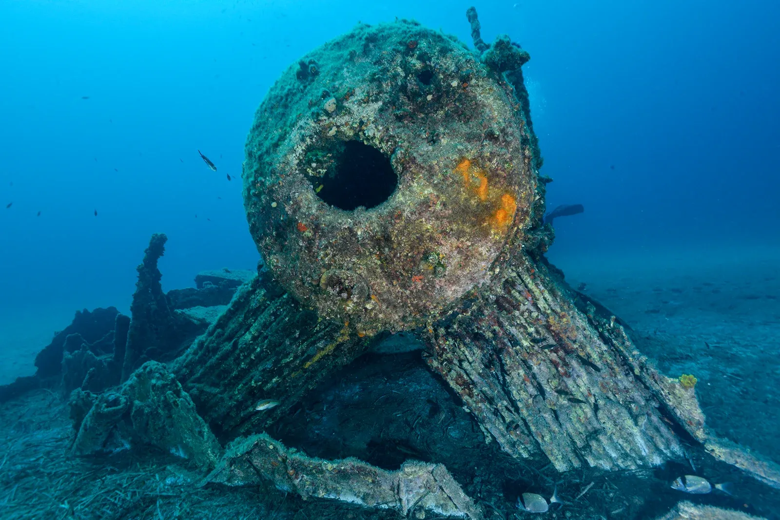 Diving Gelibolu
