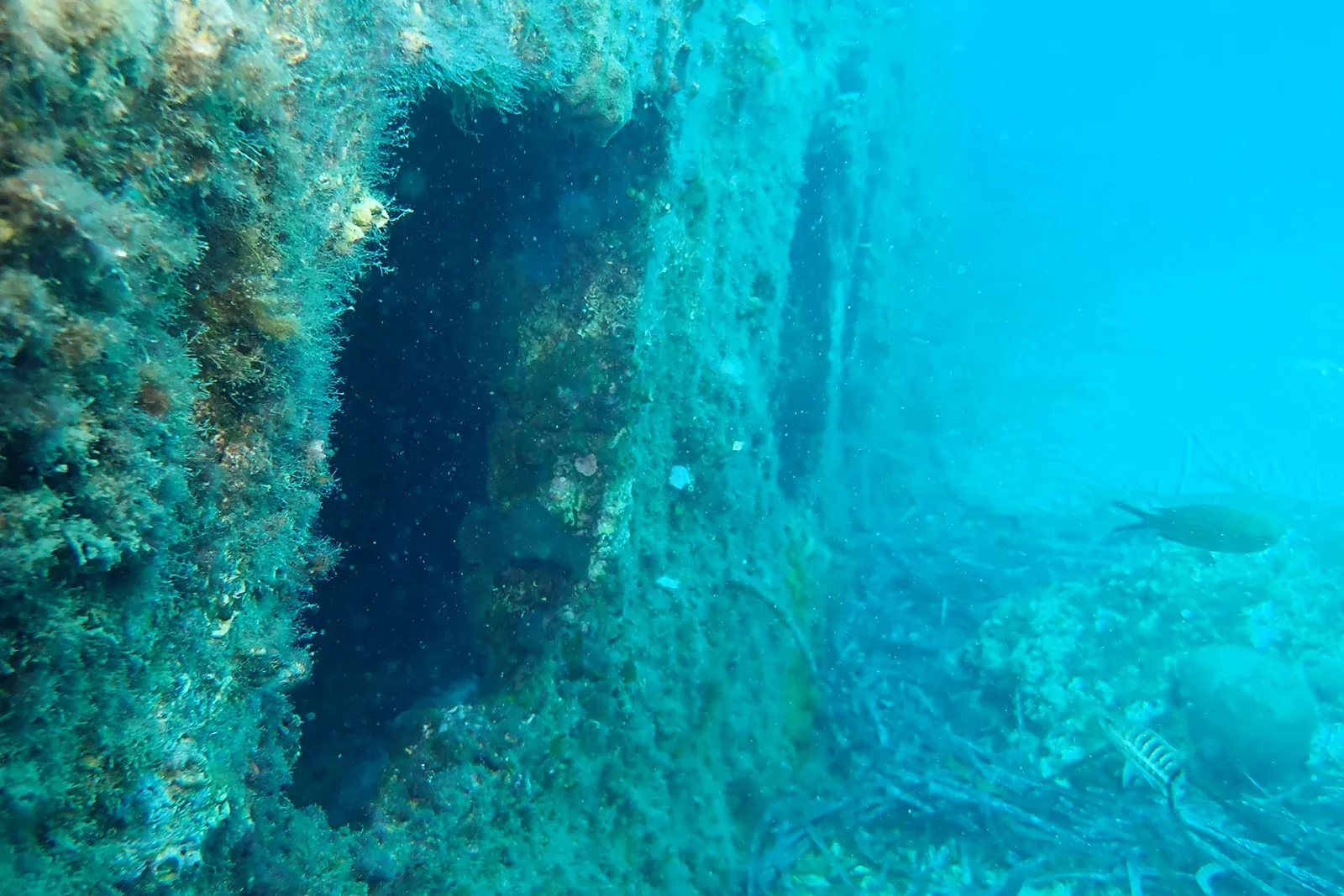 Diving Gelibolu