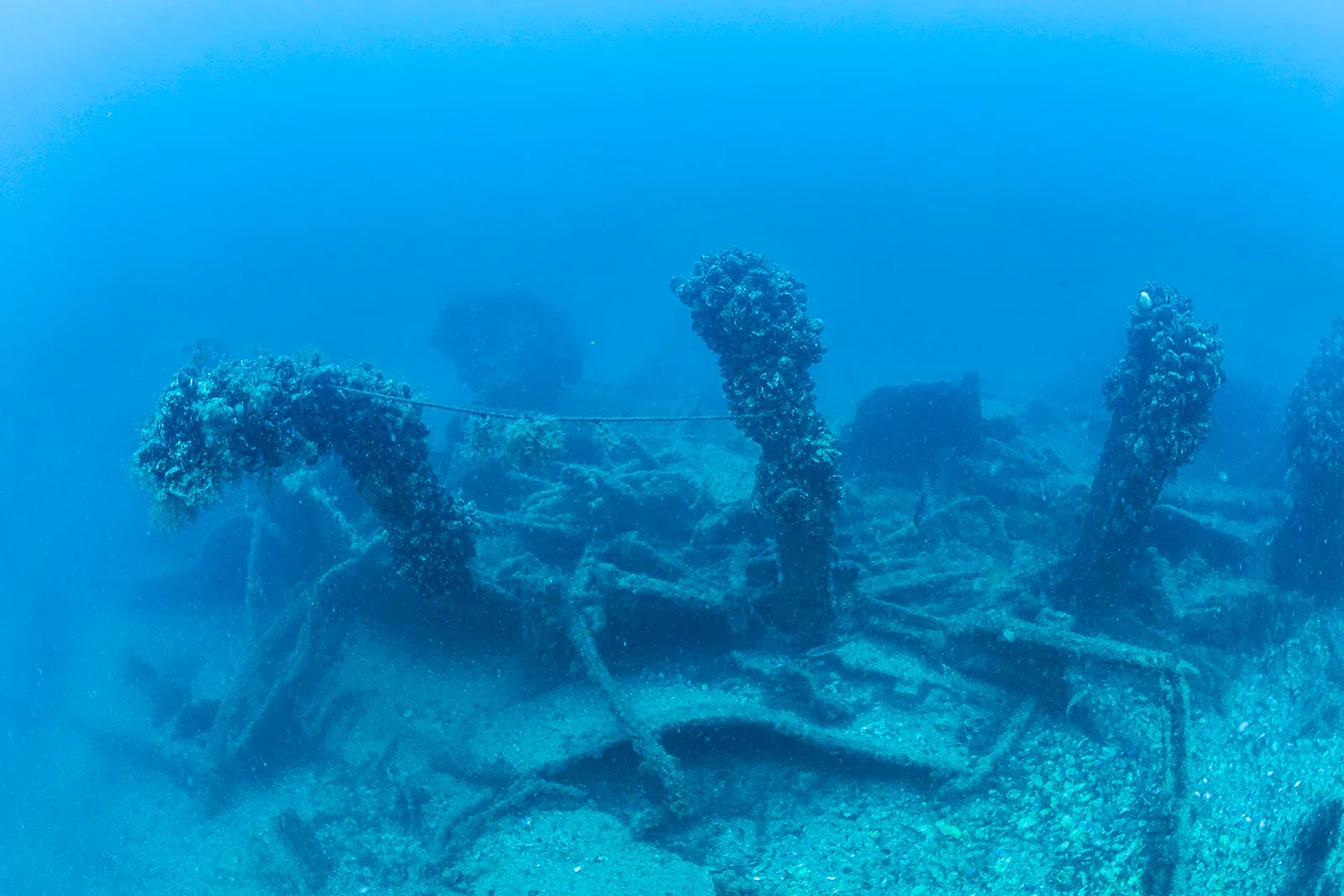 Diving Gelibolu