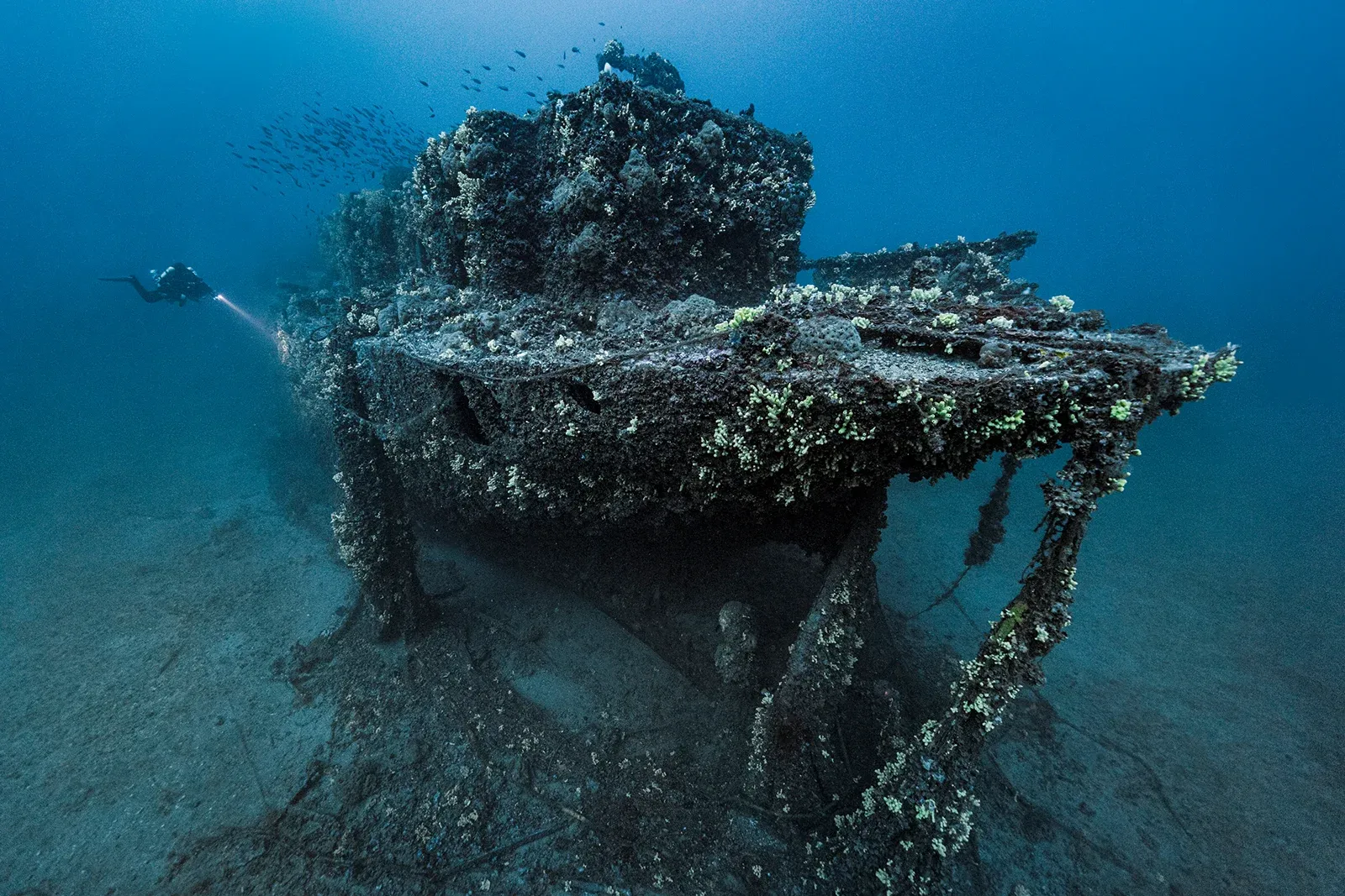 Diving Gelibolu