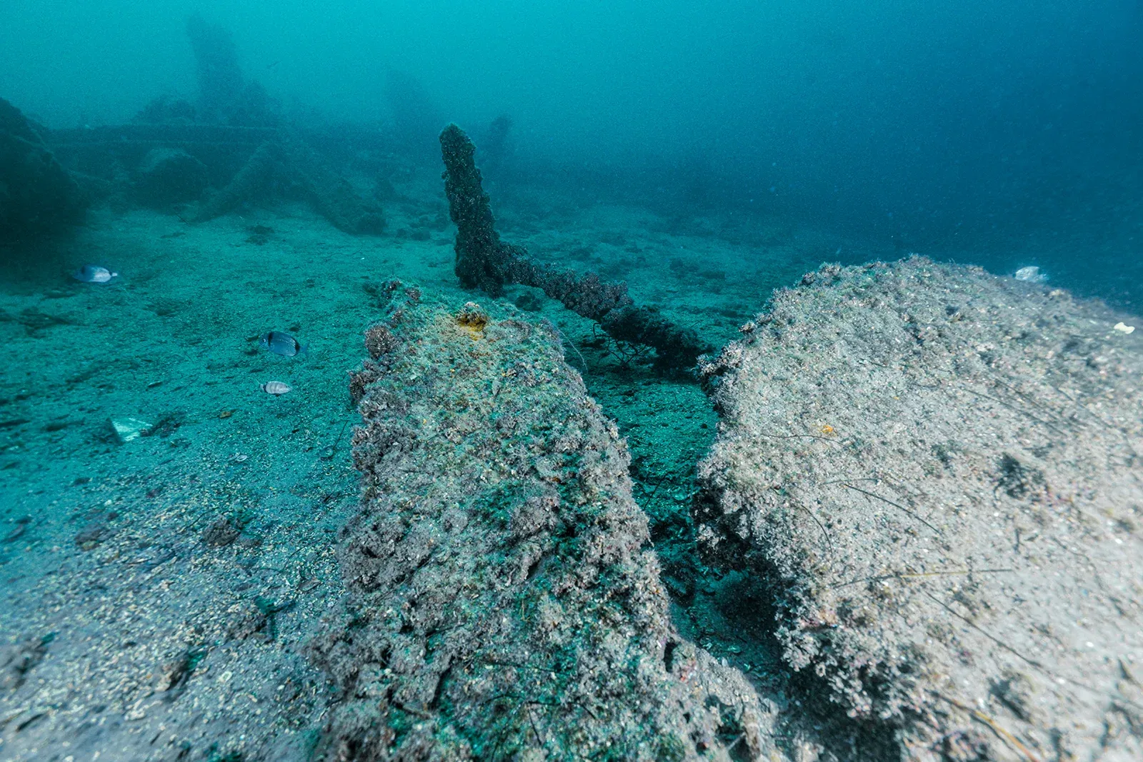 Diving Gelibolu