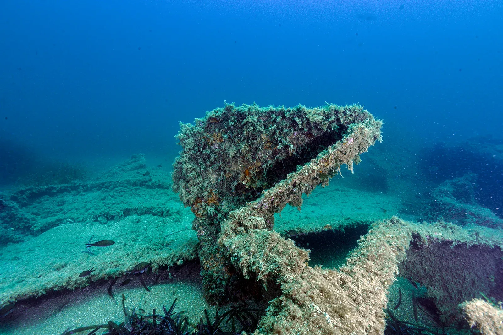 Diving Gelibolu