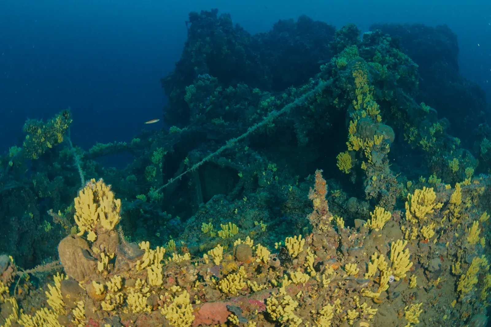 Diving Gelibolu