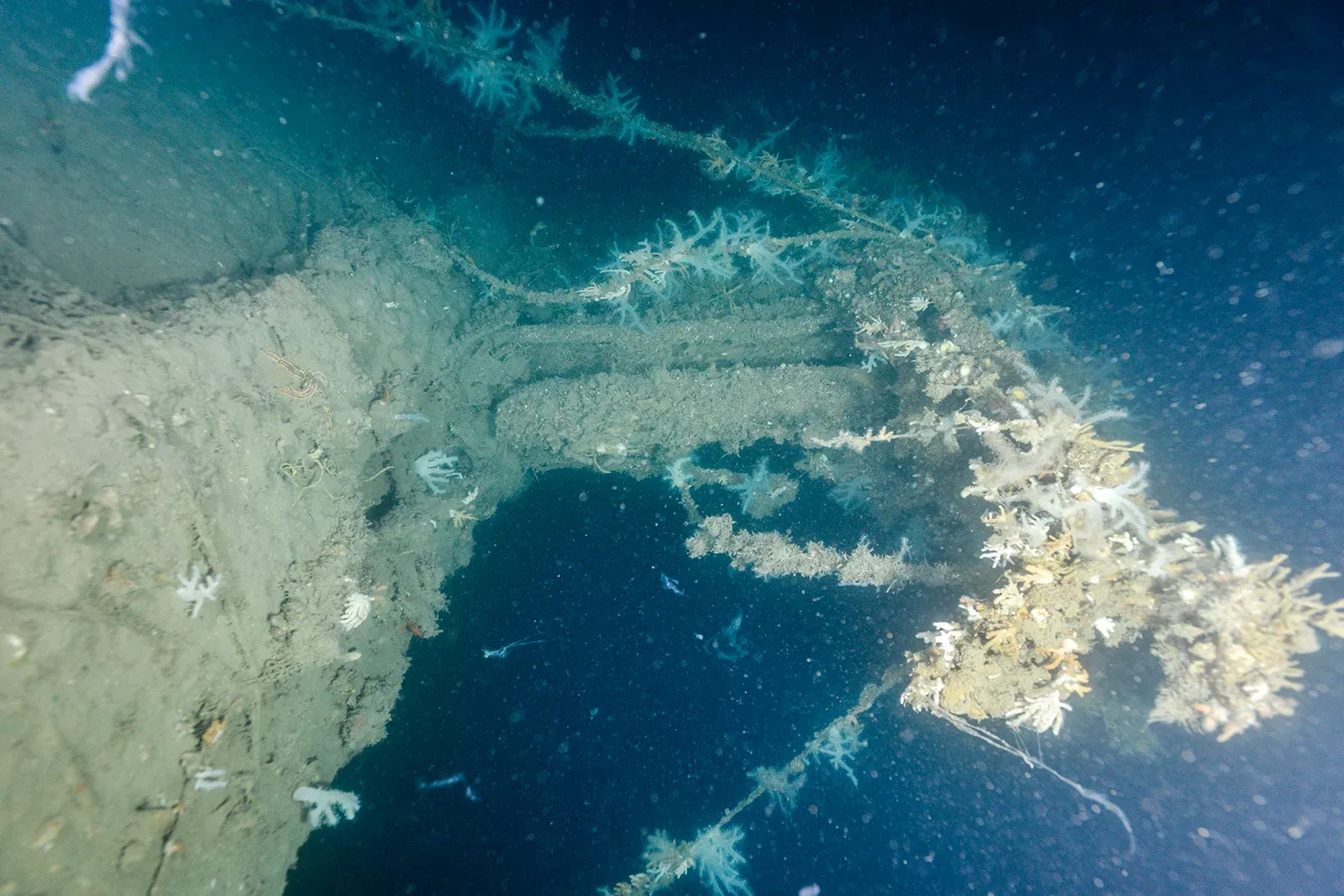 Diving Gelibolu