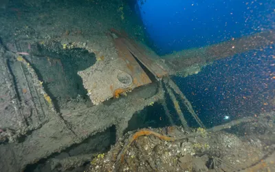 HMS TRIUMPH