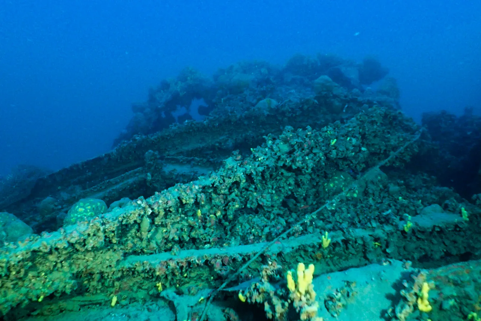 Diving Gelibolu