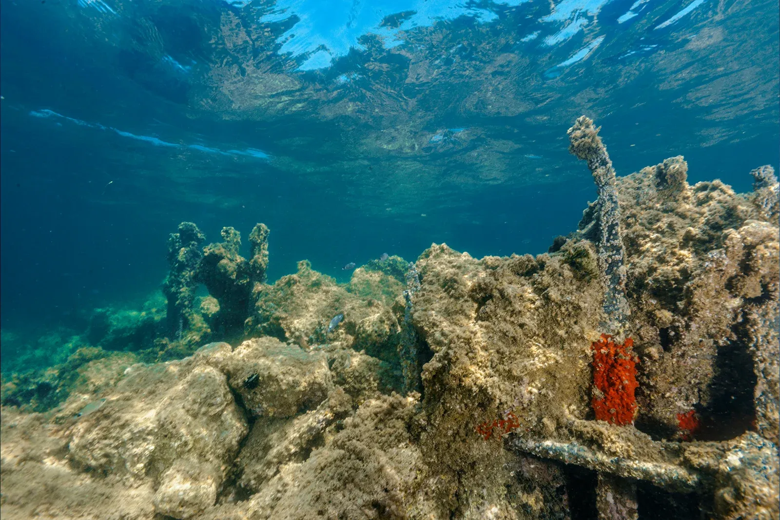 Diving Gelibolu