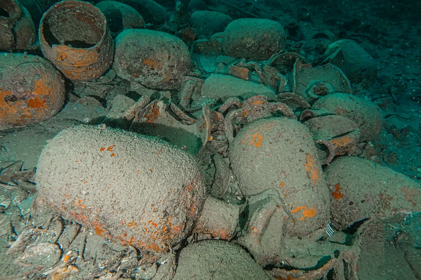 Diving Gelibolu