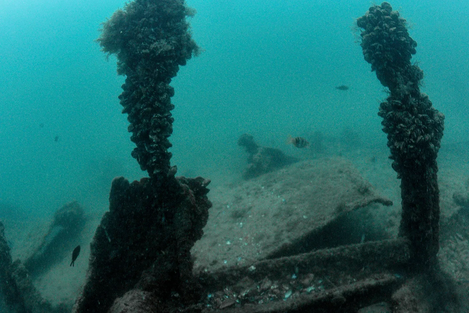 Diving Gelibolu