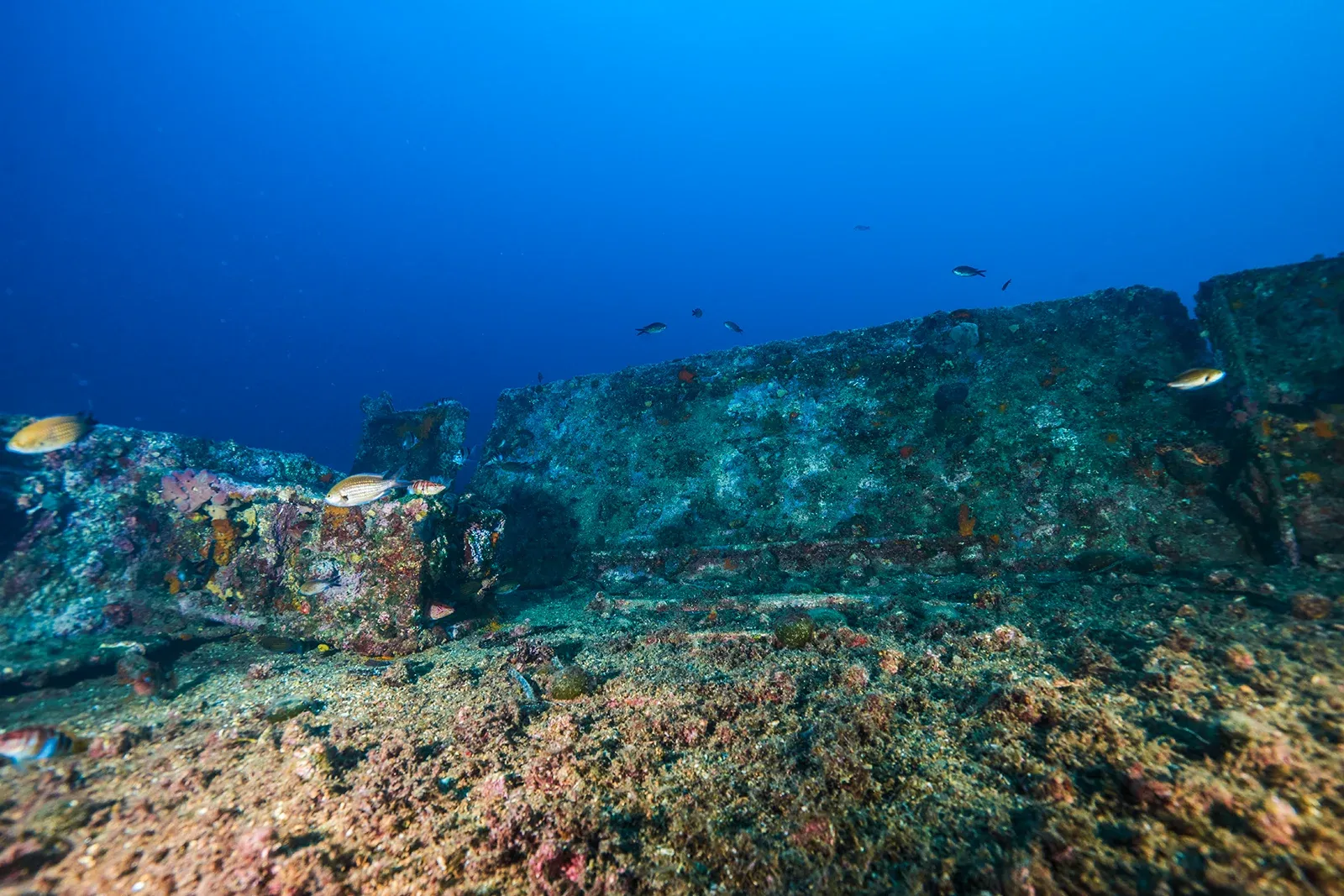 Diving Gelibolu
