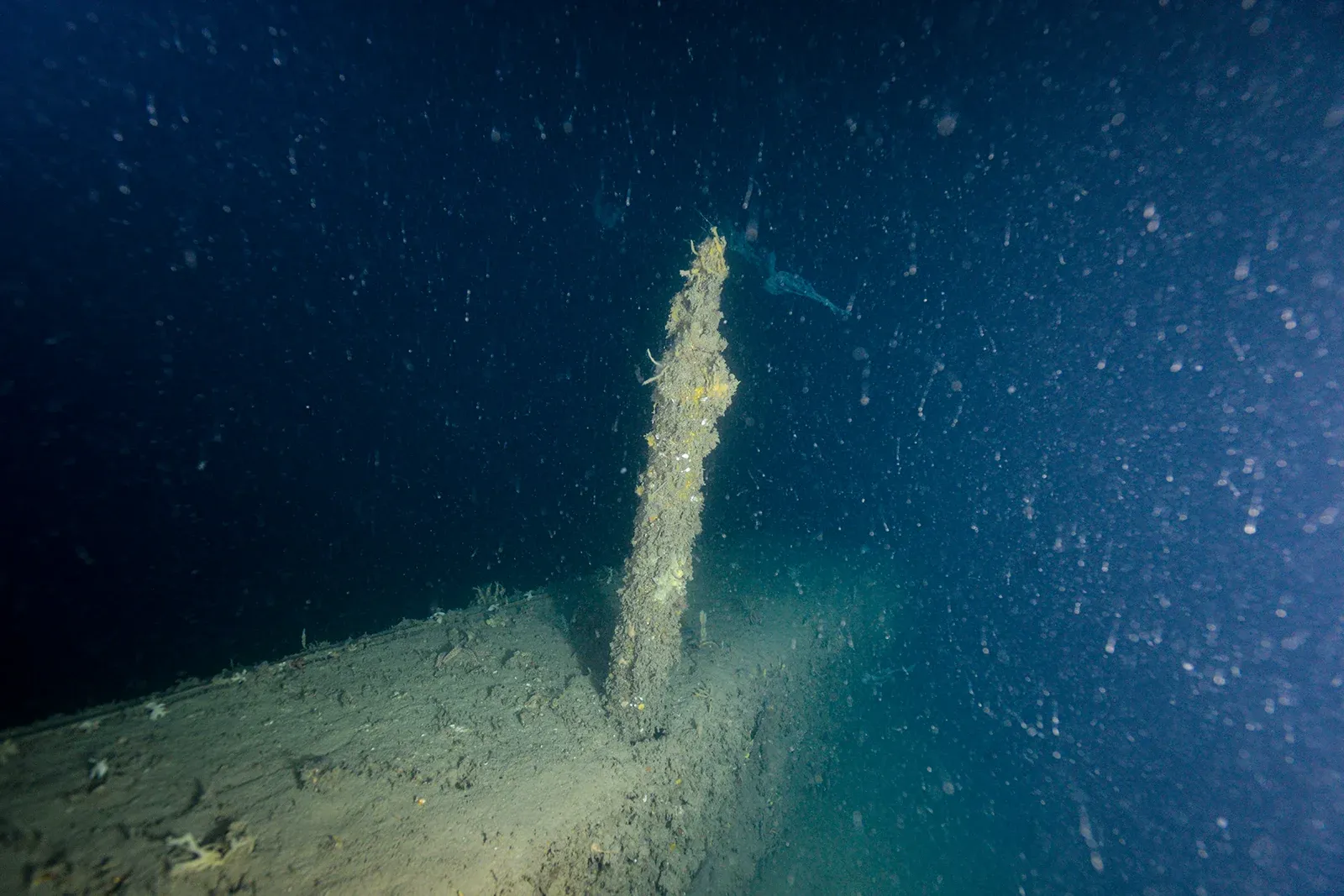 Diving Gelibolu