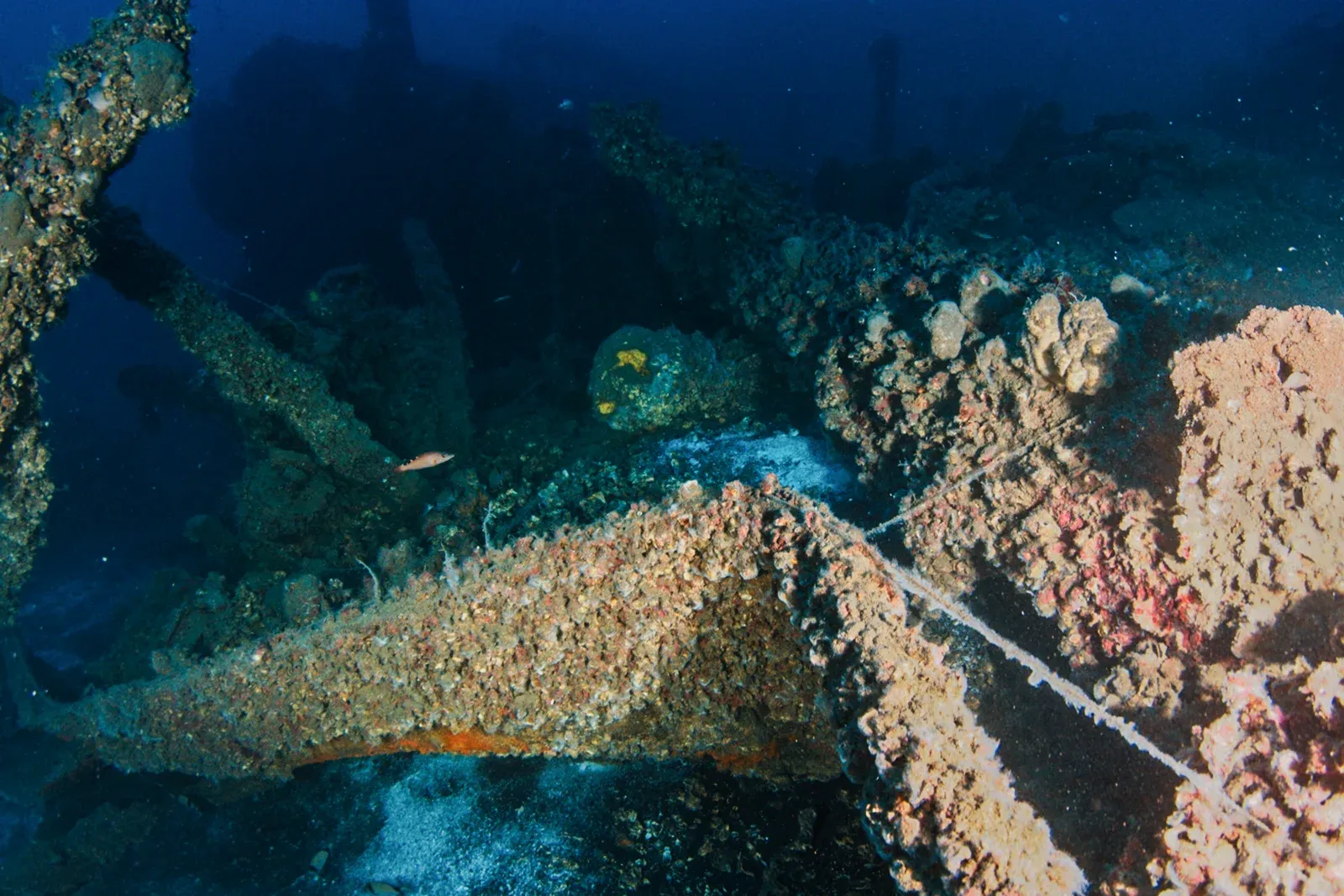 Diving Gelibolu