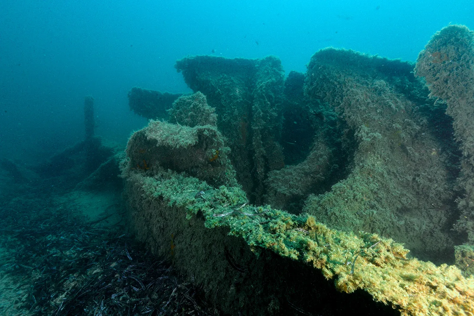 Diving Gelibolu