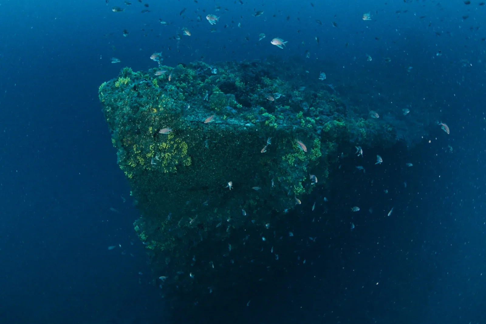 Diving Gelibolu