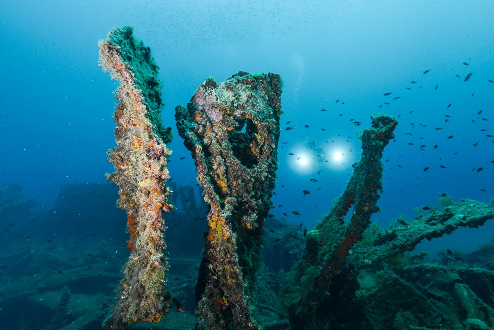Diving Gelibolu