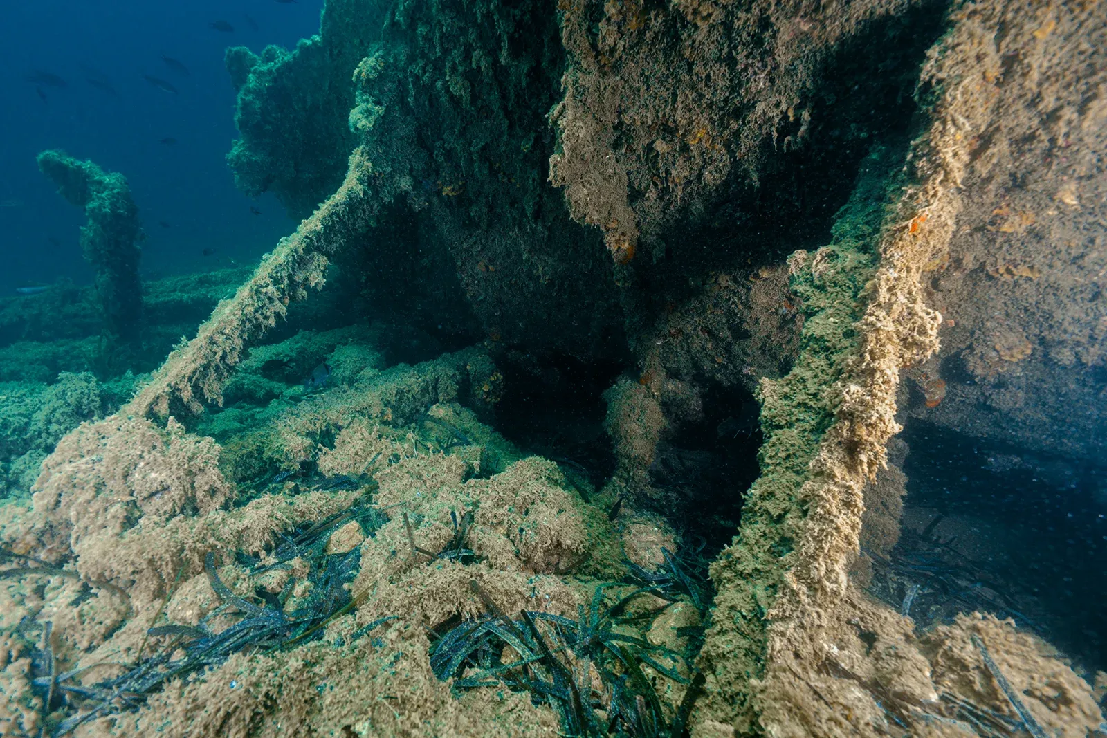 Diving Gelibolu