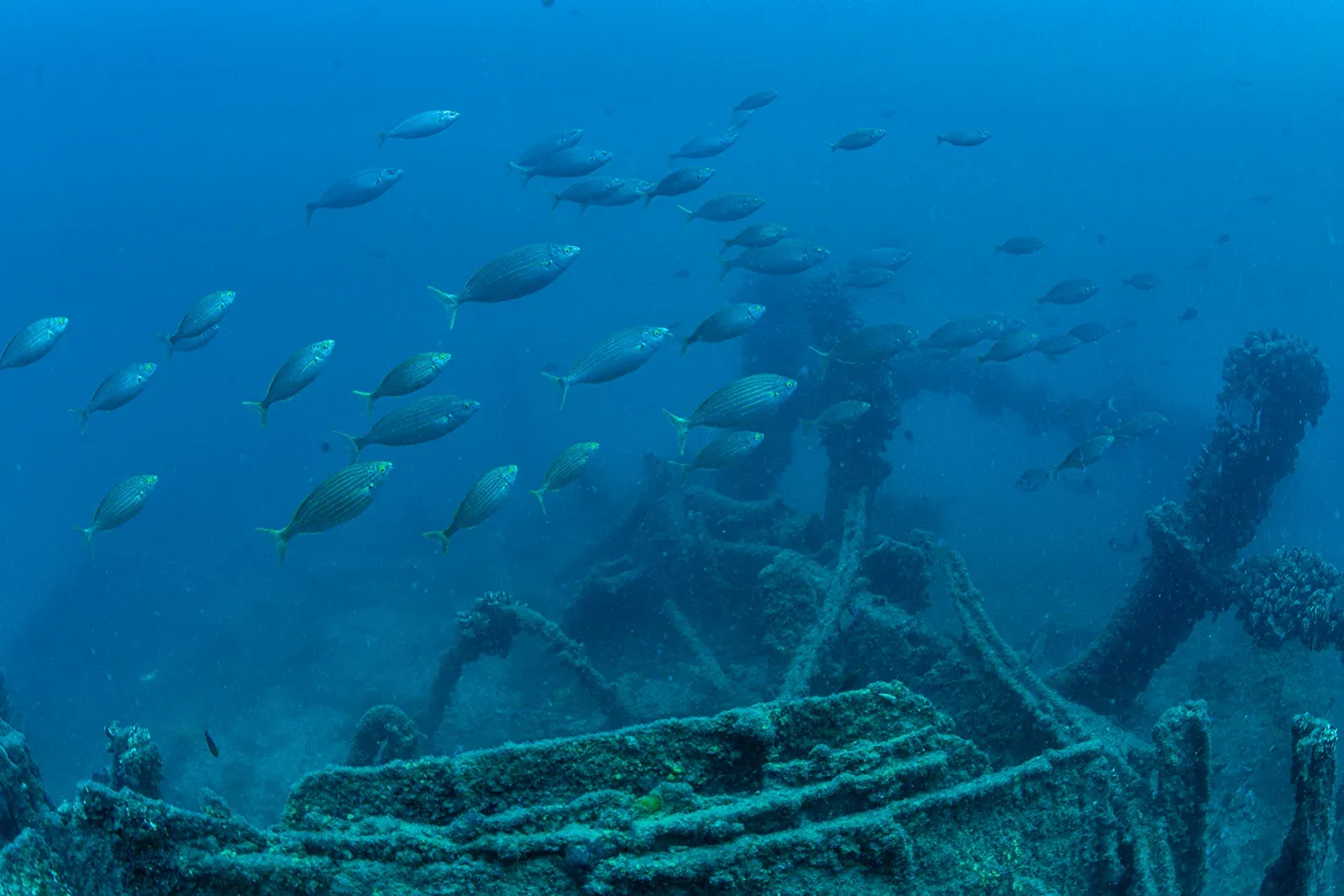 Diving Gelibolu