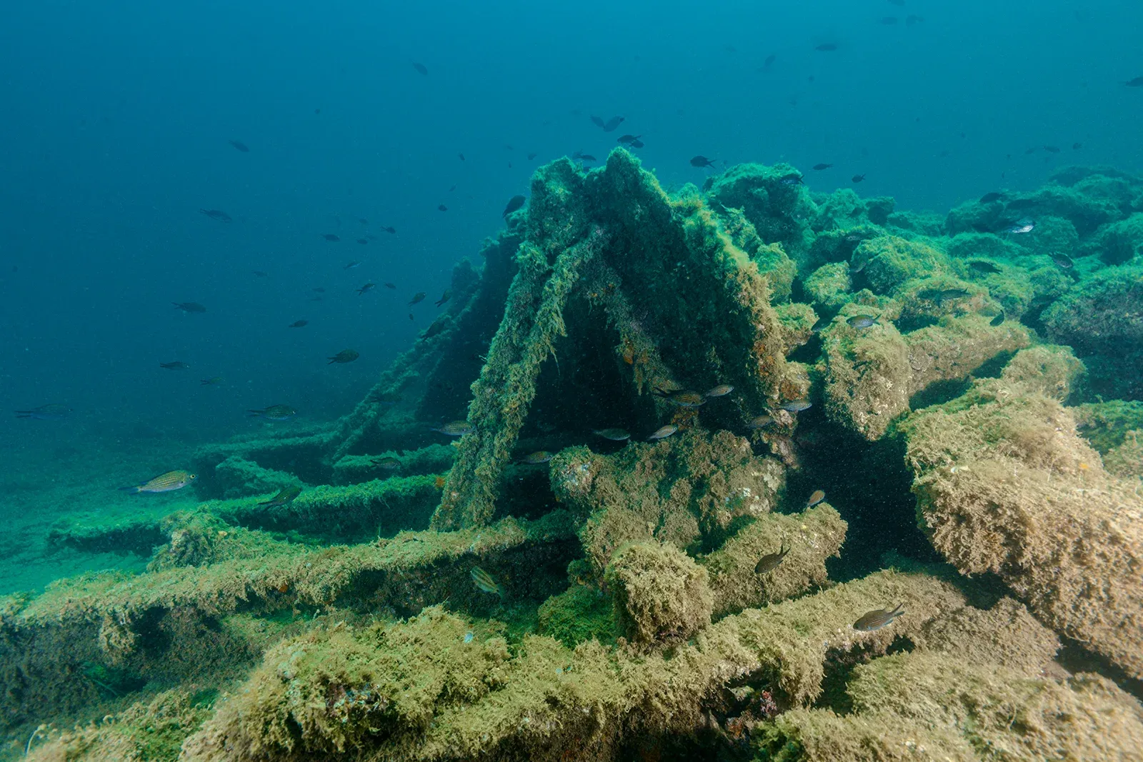 Diving Gelibolu
