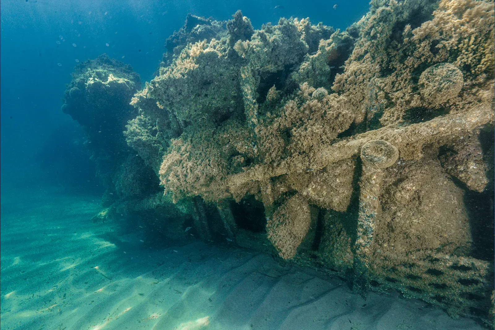 Diving Gelibolu
