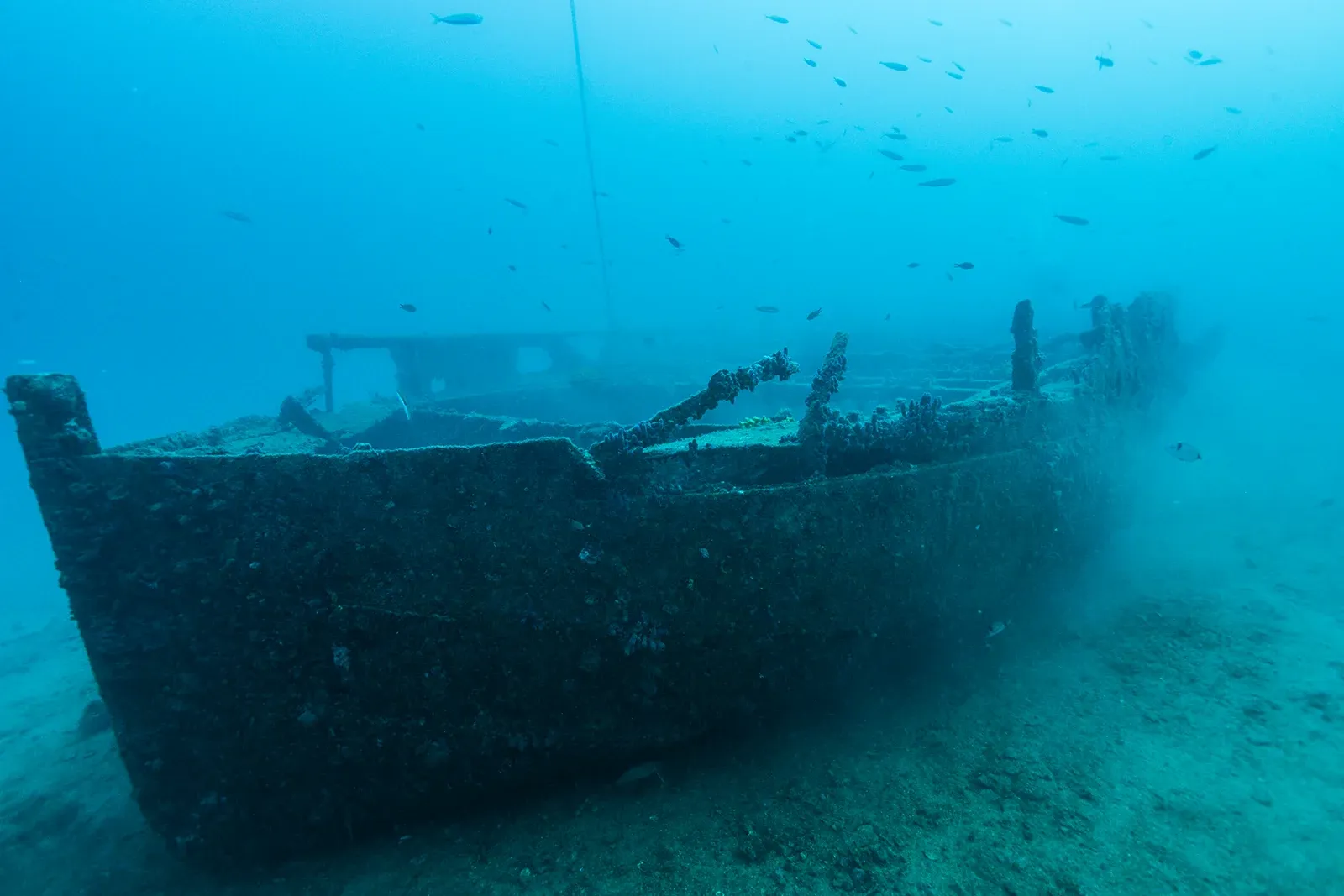 Diving Gelibolu