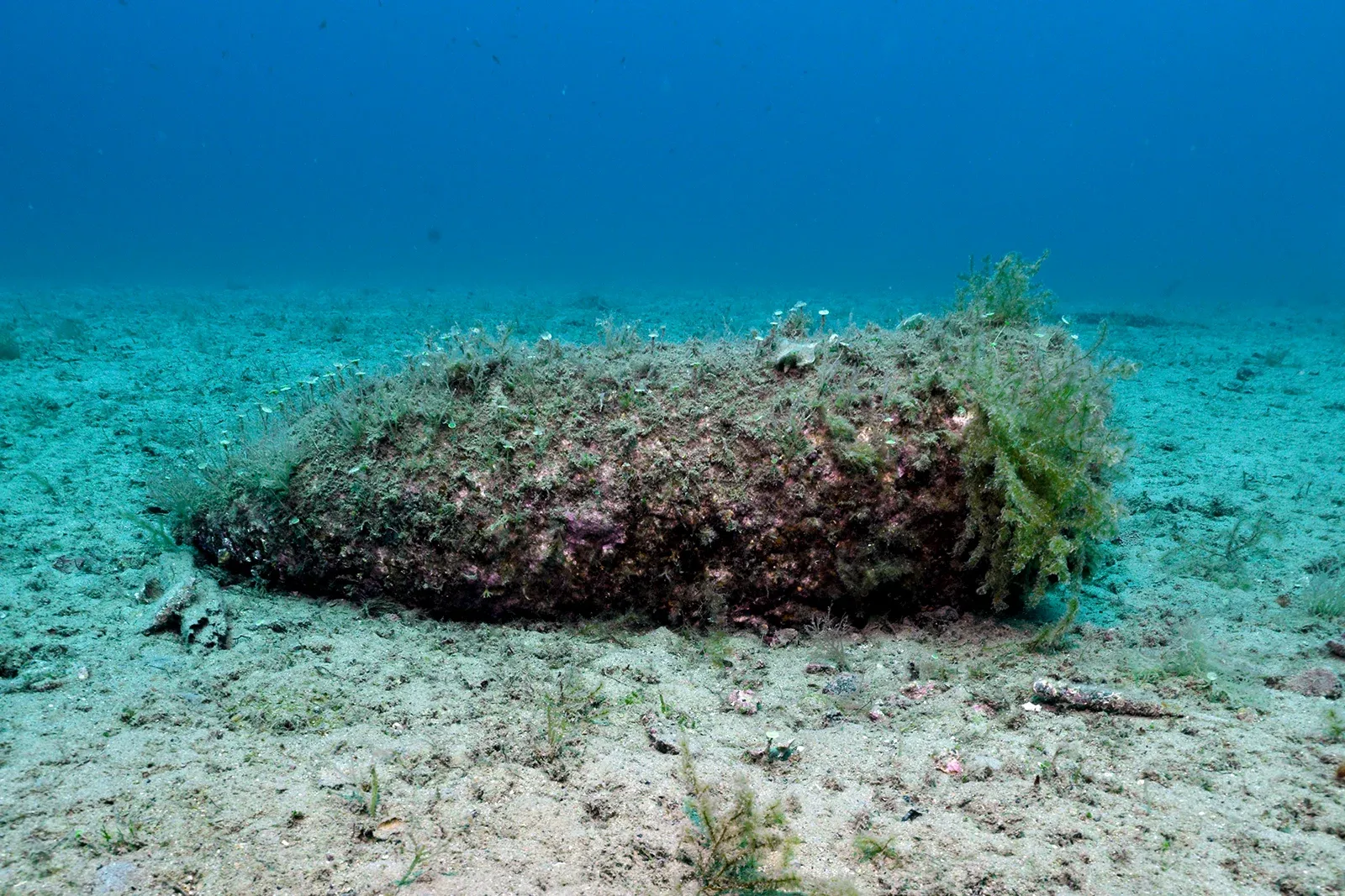Diving Gelibolu