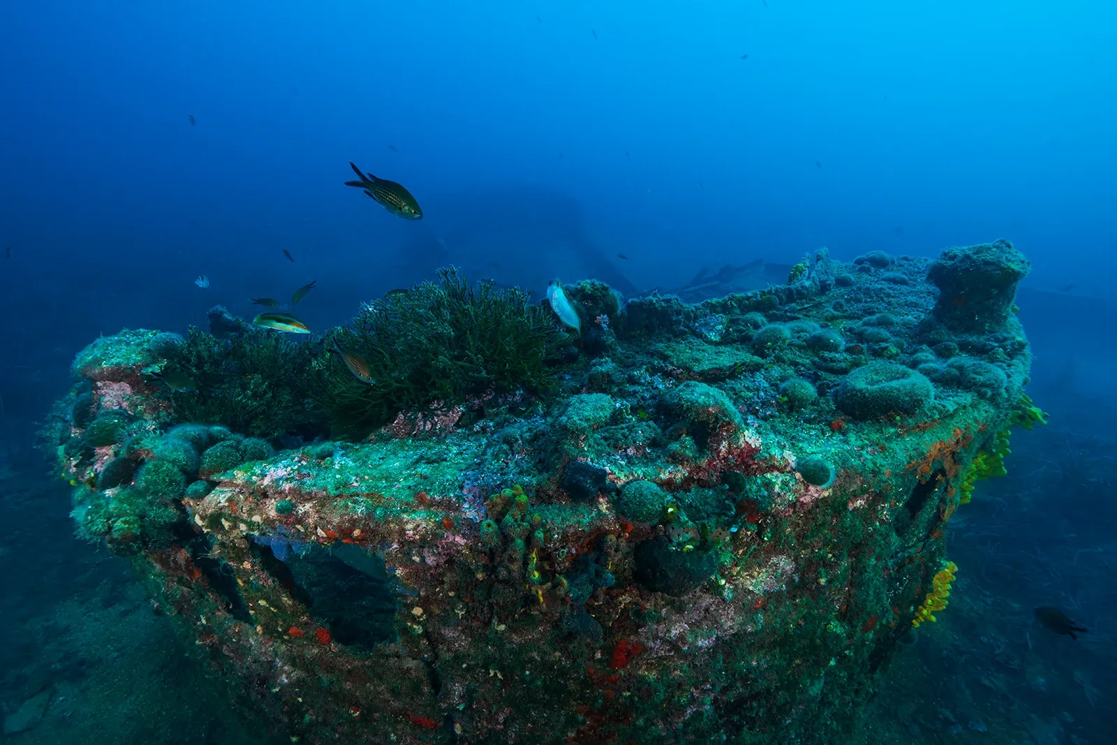 Diving Gelibolu
