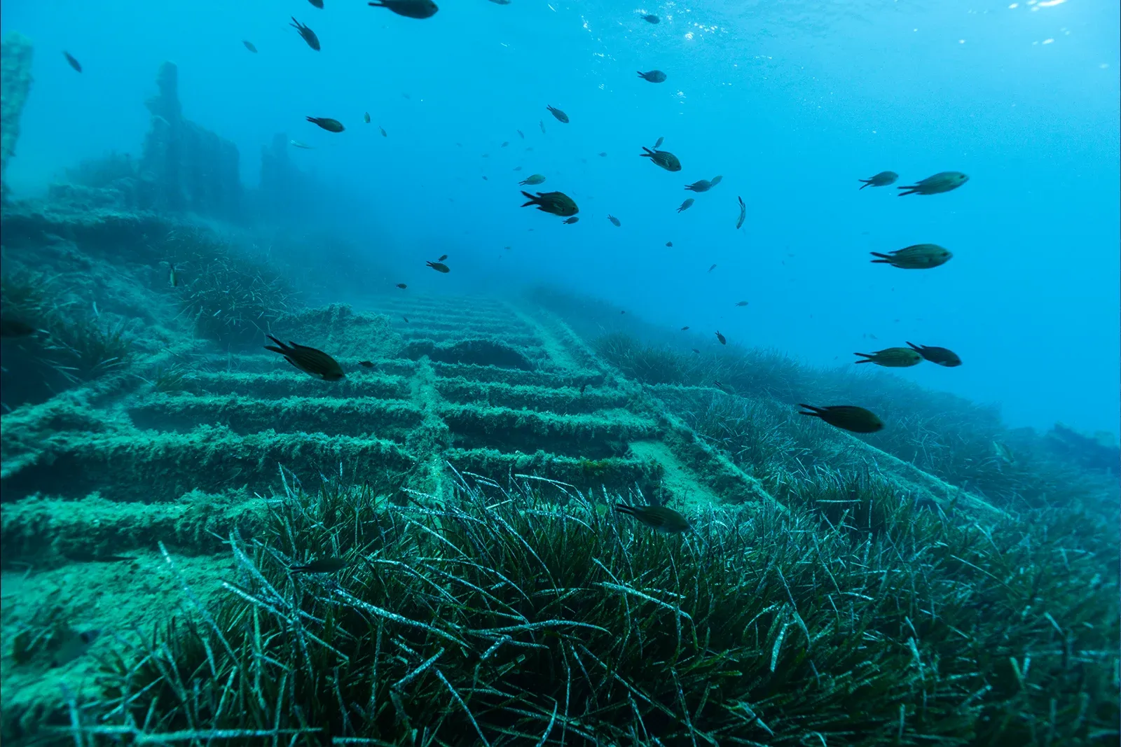 Diving Gelibolu