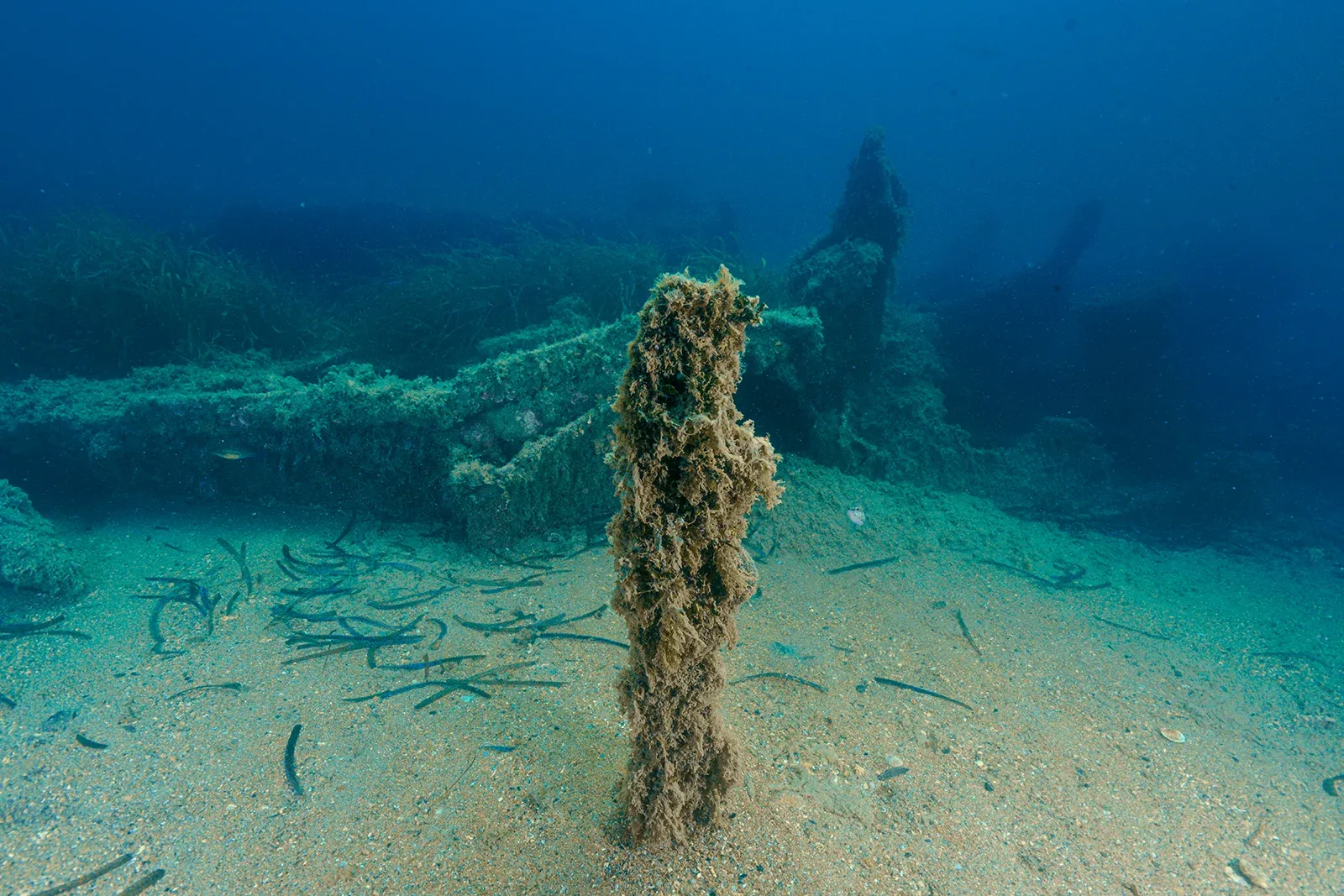Diving Gelibolu