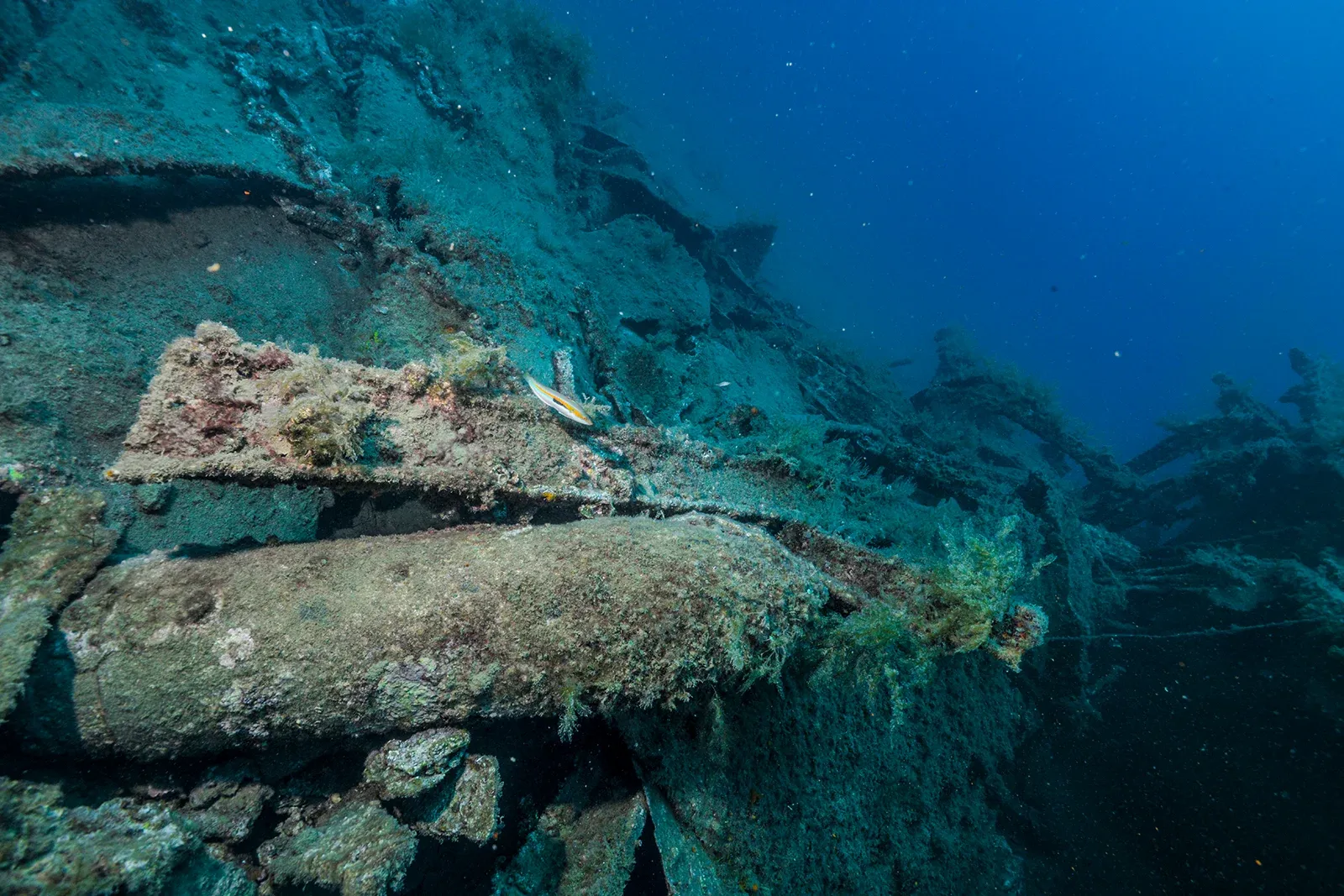Diving Gelibolu