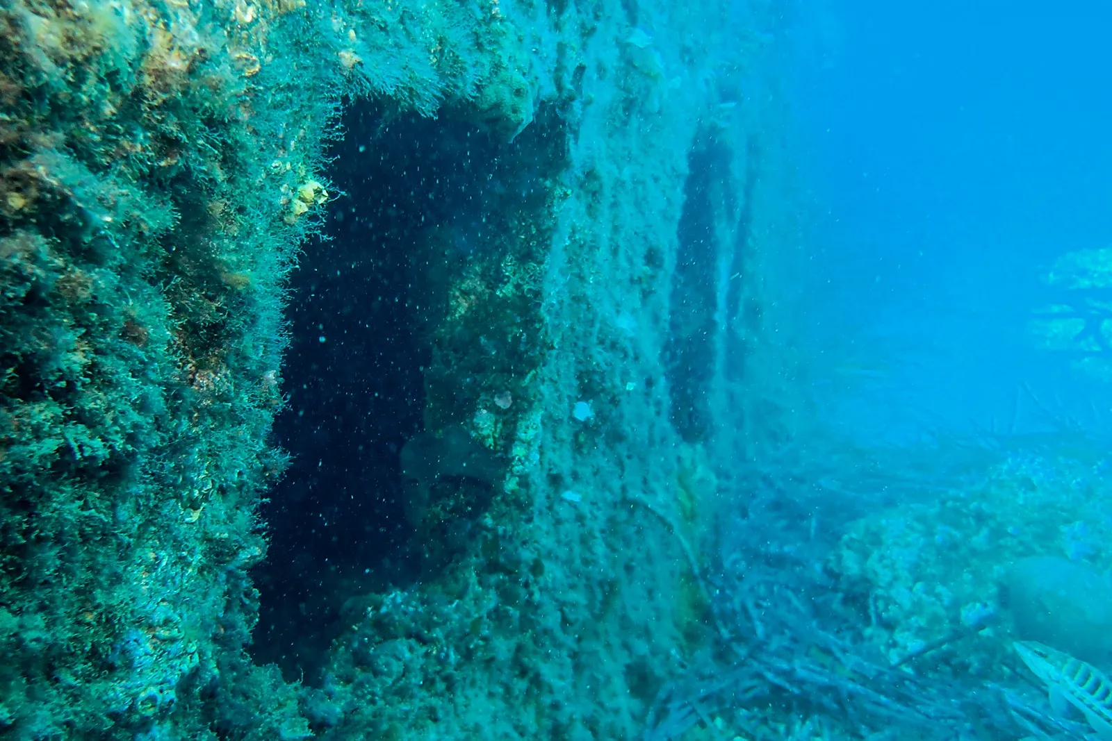 Diving Gelibolu