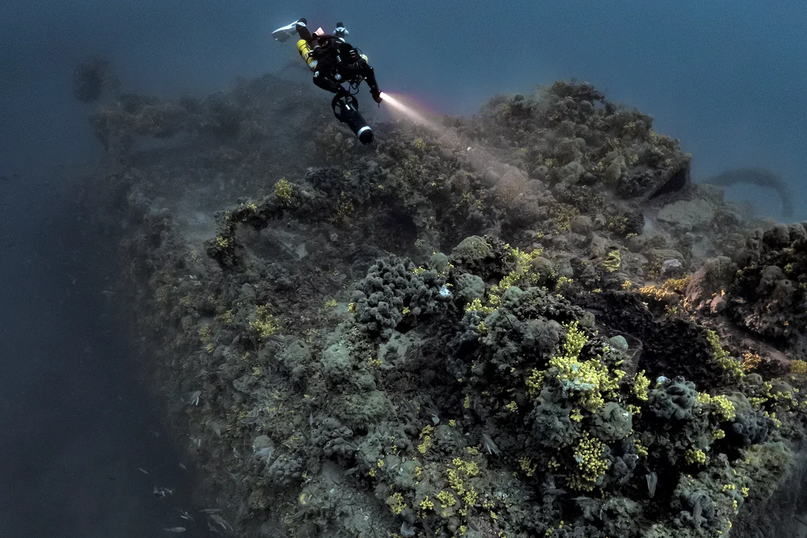 Diving Gelibolu